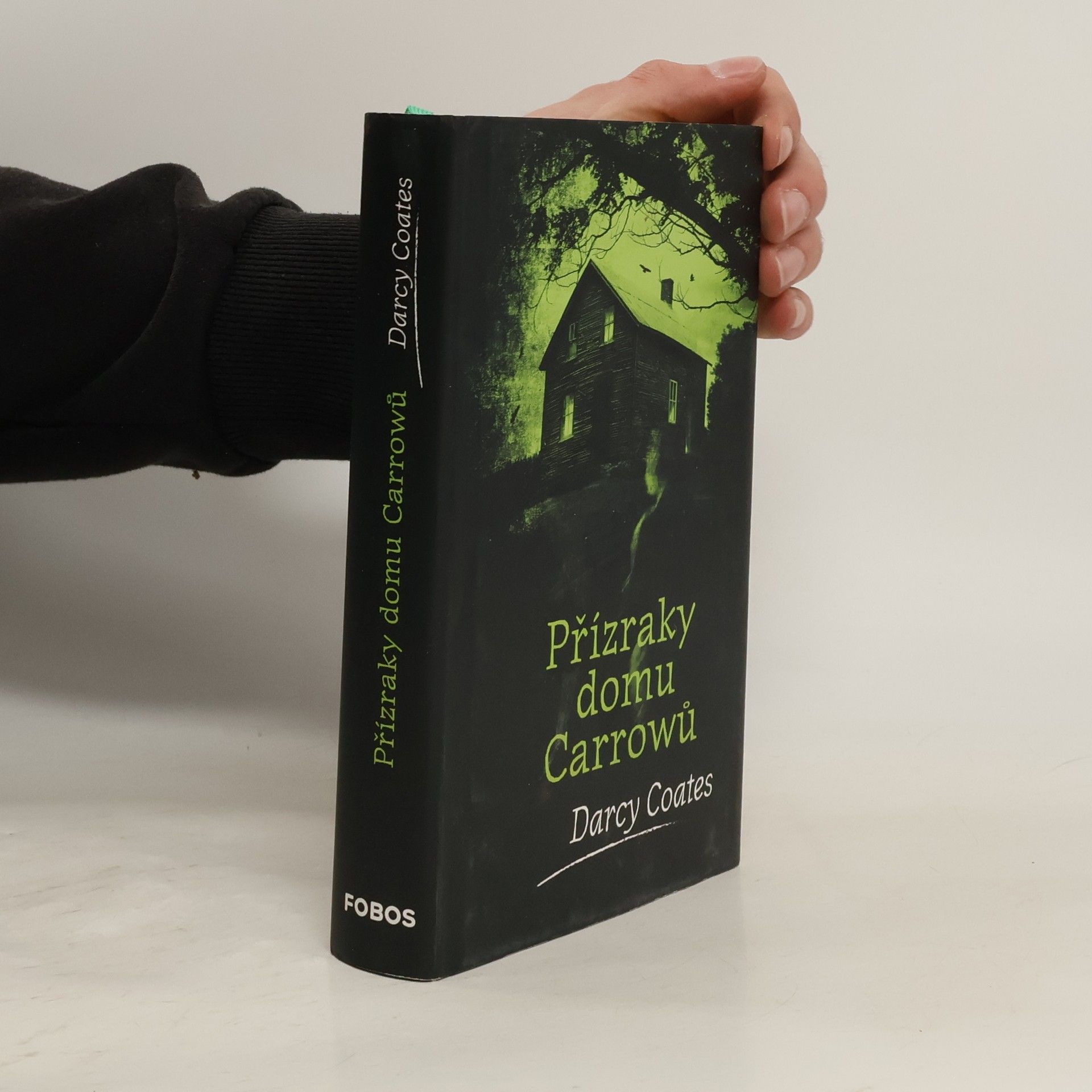 Darcy Coates Přízraky domu Carrowů
