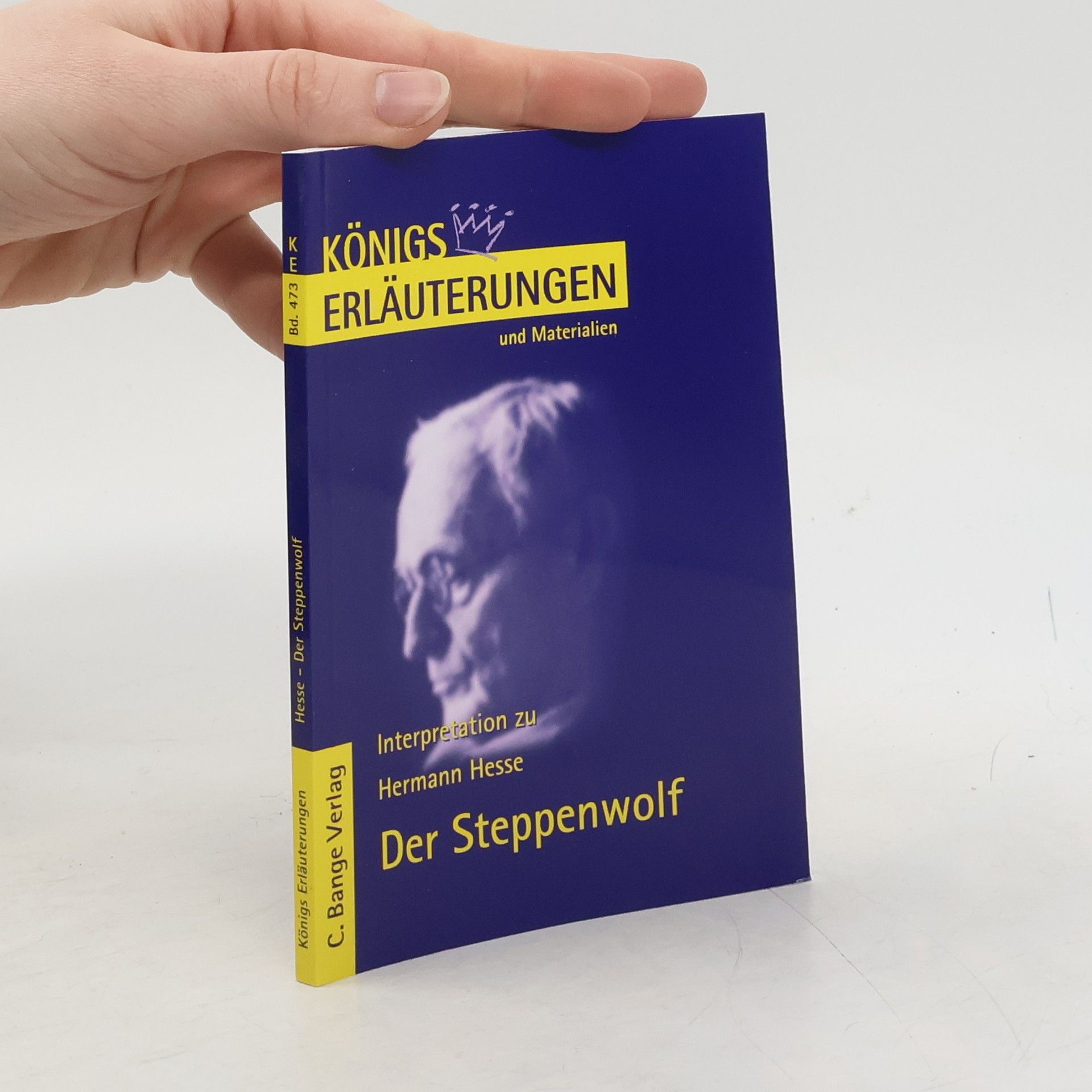 Erläuterungen zu Hermann Hesse, Der Steppenwolf
