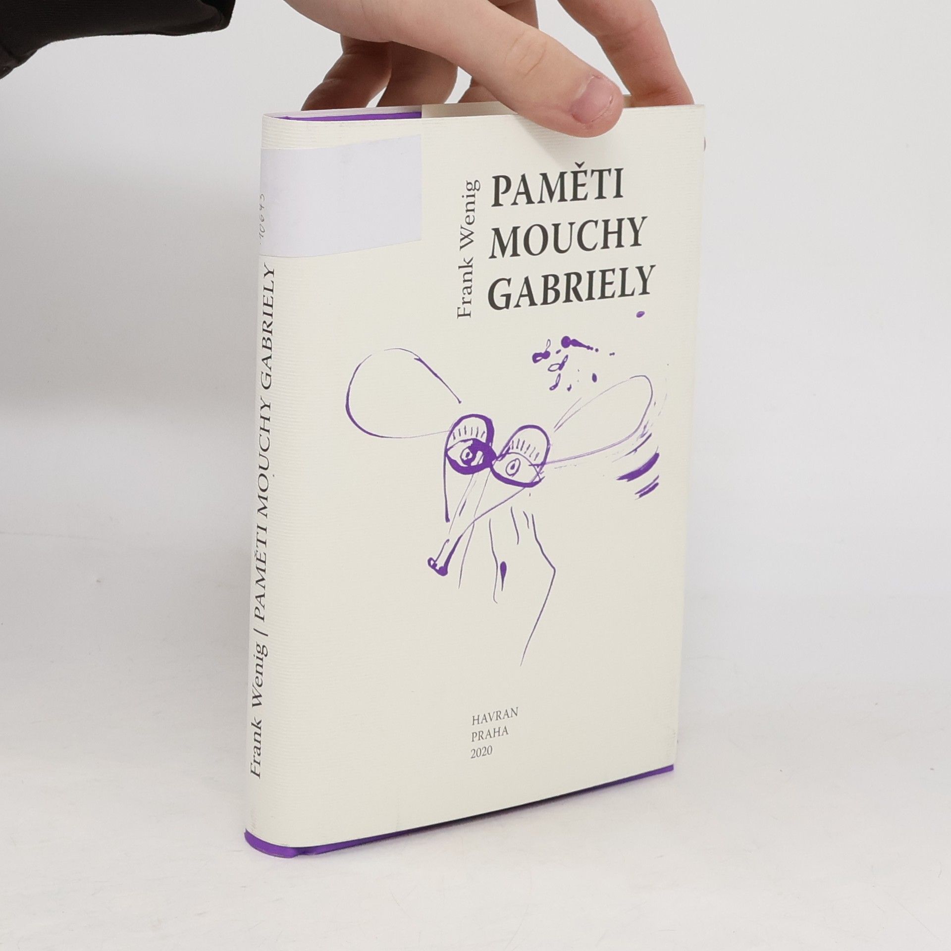 Frank Wenig Paměti mouchy Gabriely