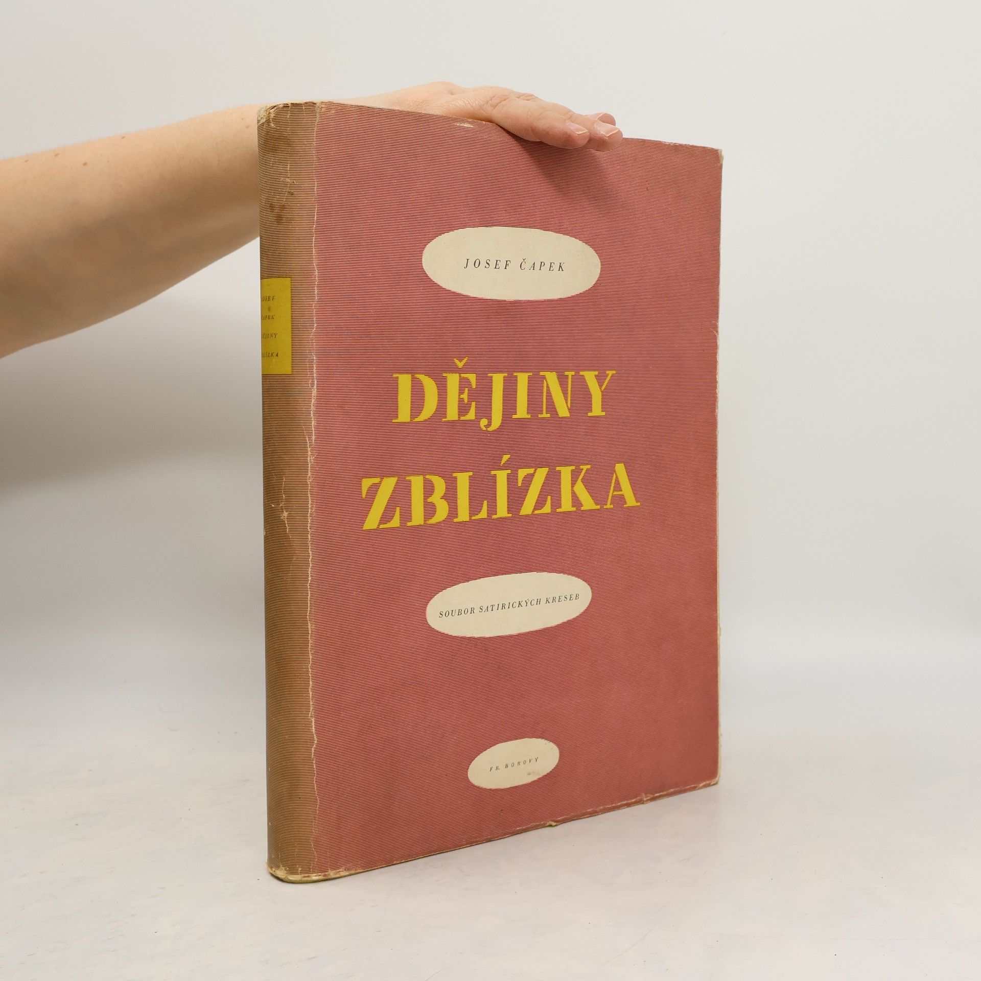 Josef Čapek Dějiny zblízka