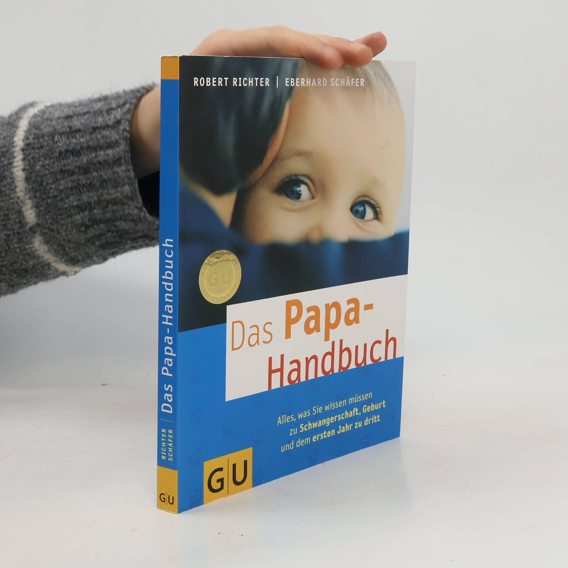 Robert Richter Das Papa-Handbuch