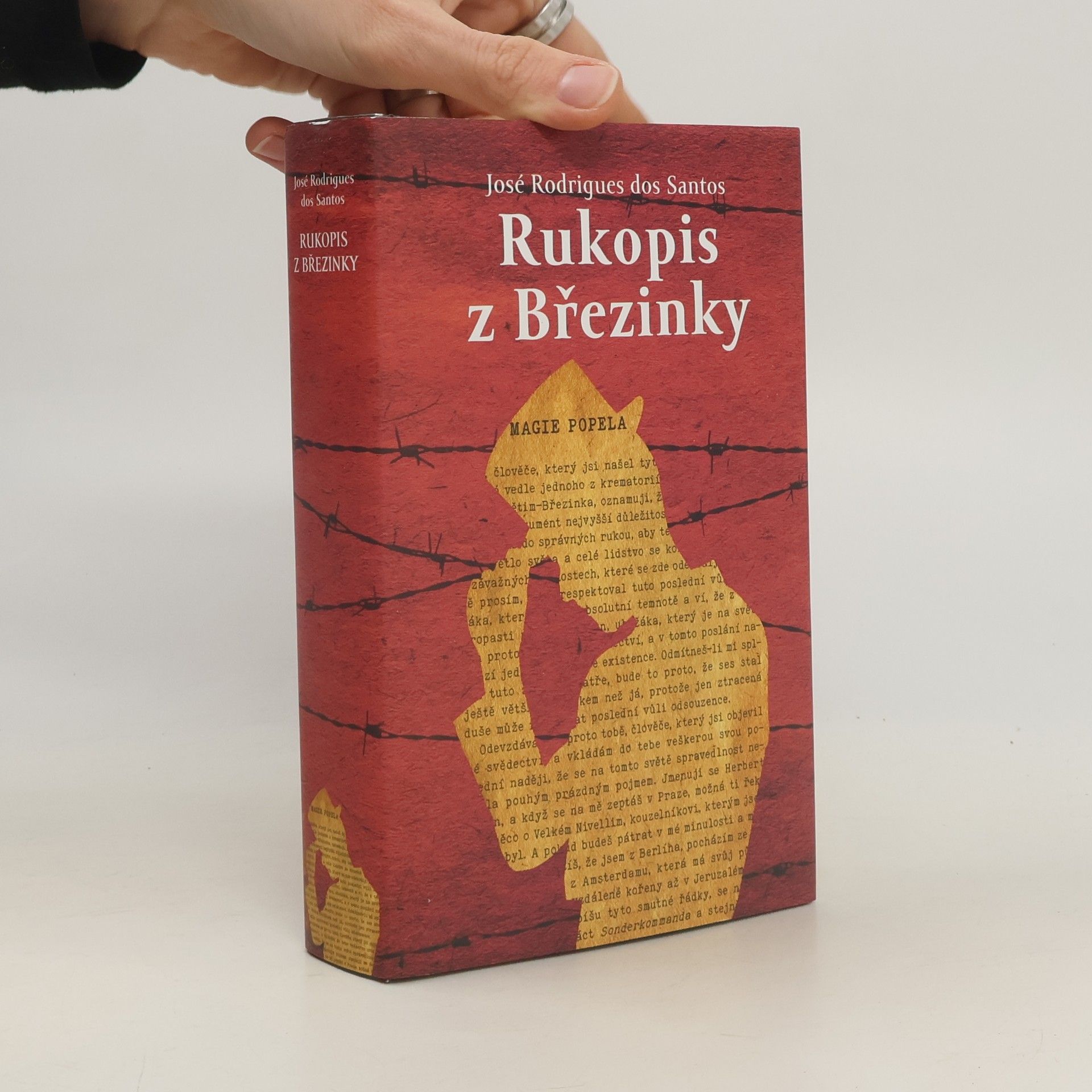 José Rodrigues dos Santos Rukopis z Březinky