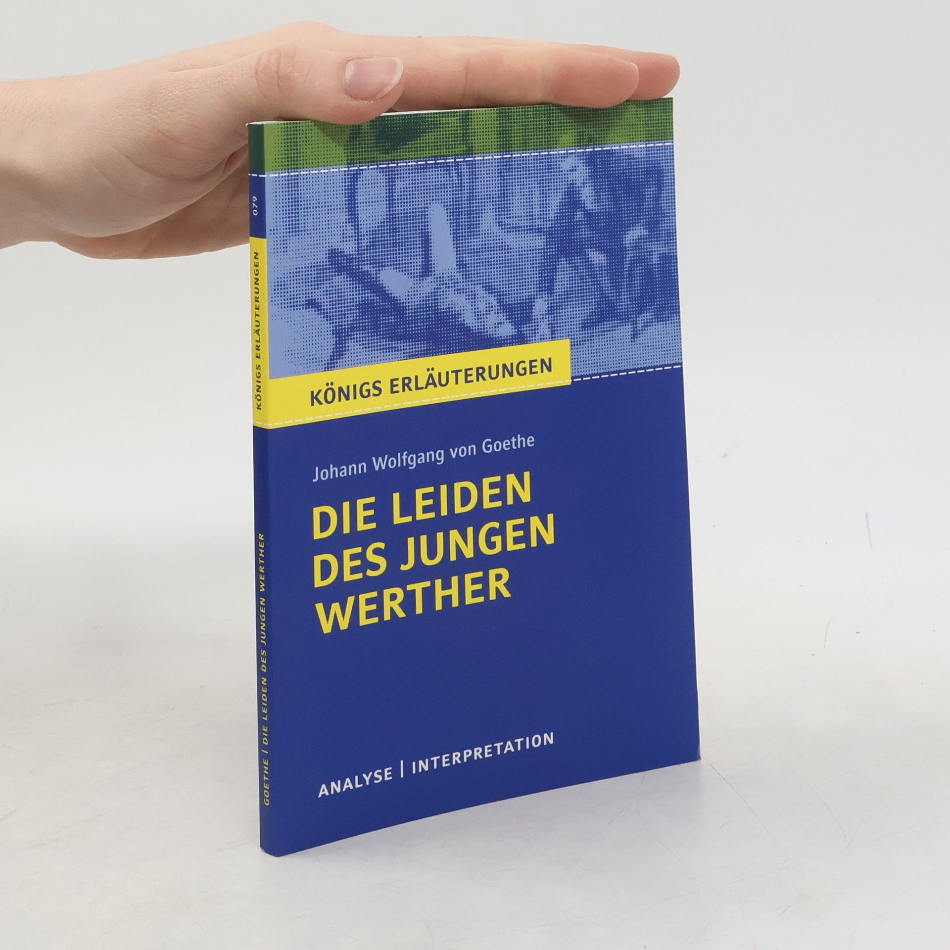 Die Leiden des jungen Werther