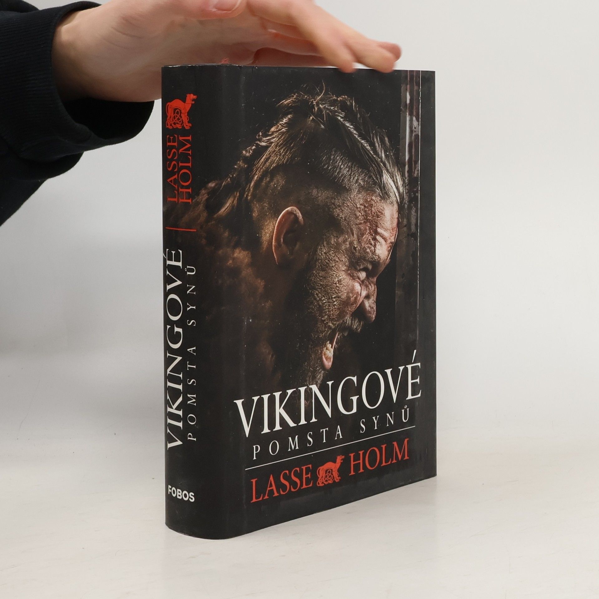 Vikingové. Pomsta synů