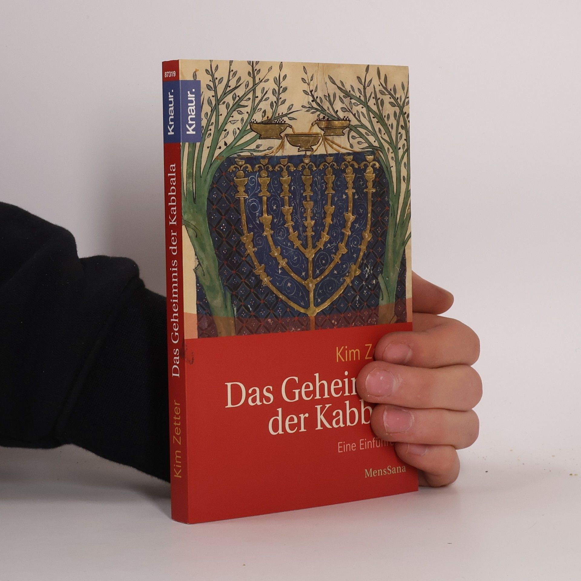 Kim Zetter Das Geheimnis der Kabbala