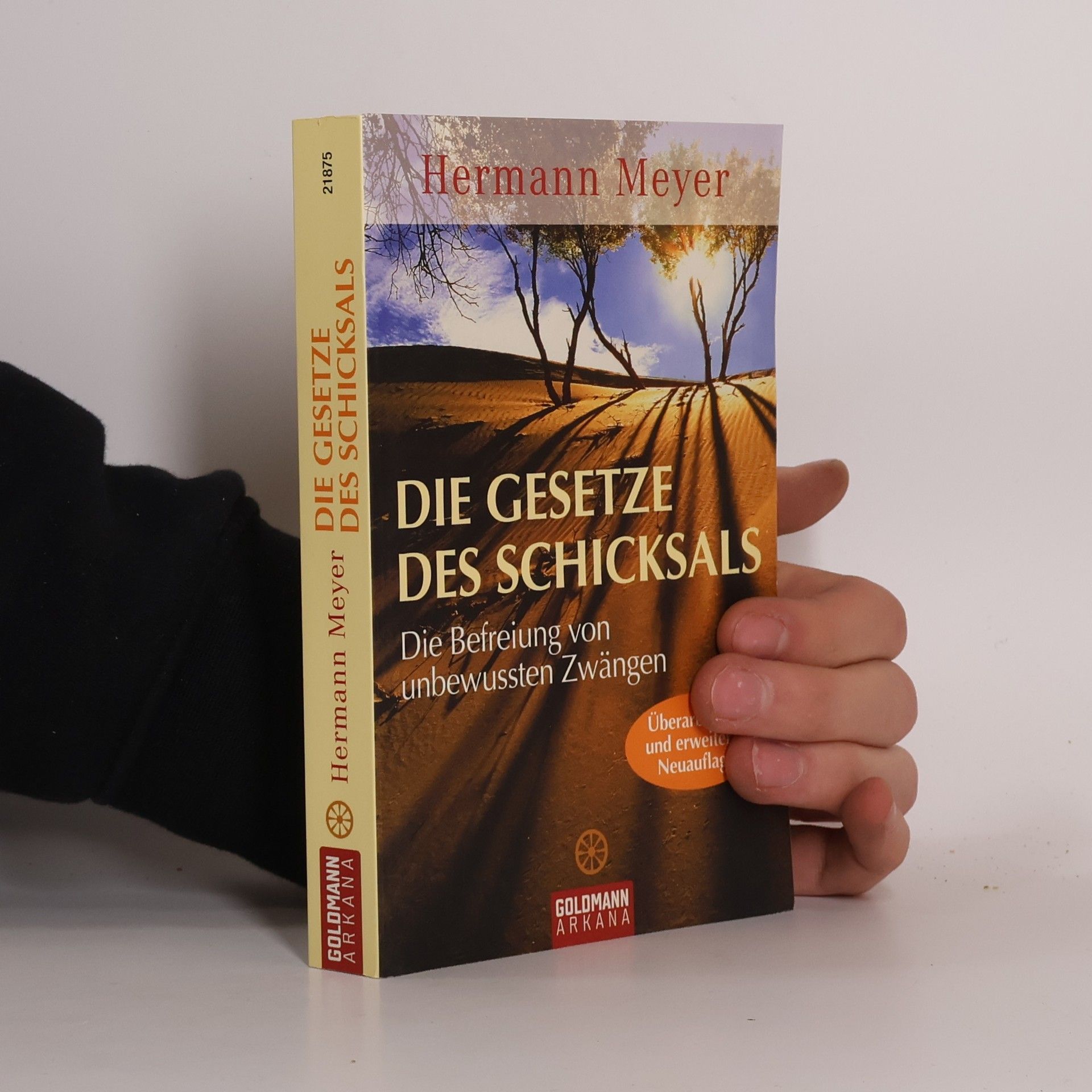 Herman Meyer Die Gesetze des Schicksals