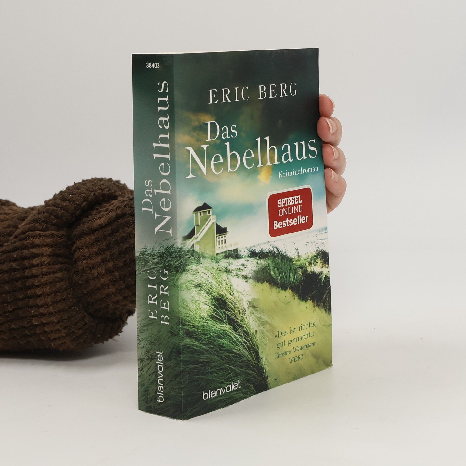 Eric Berg Das Nebelhaus