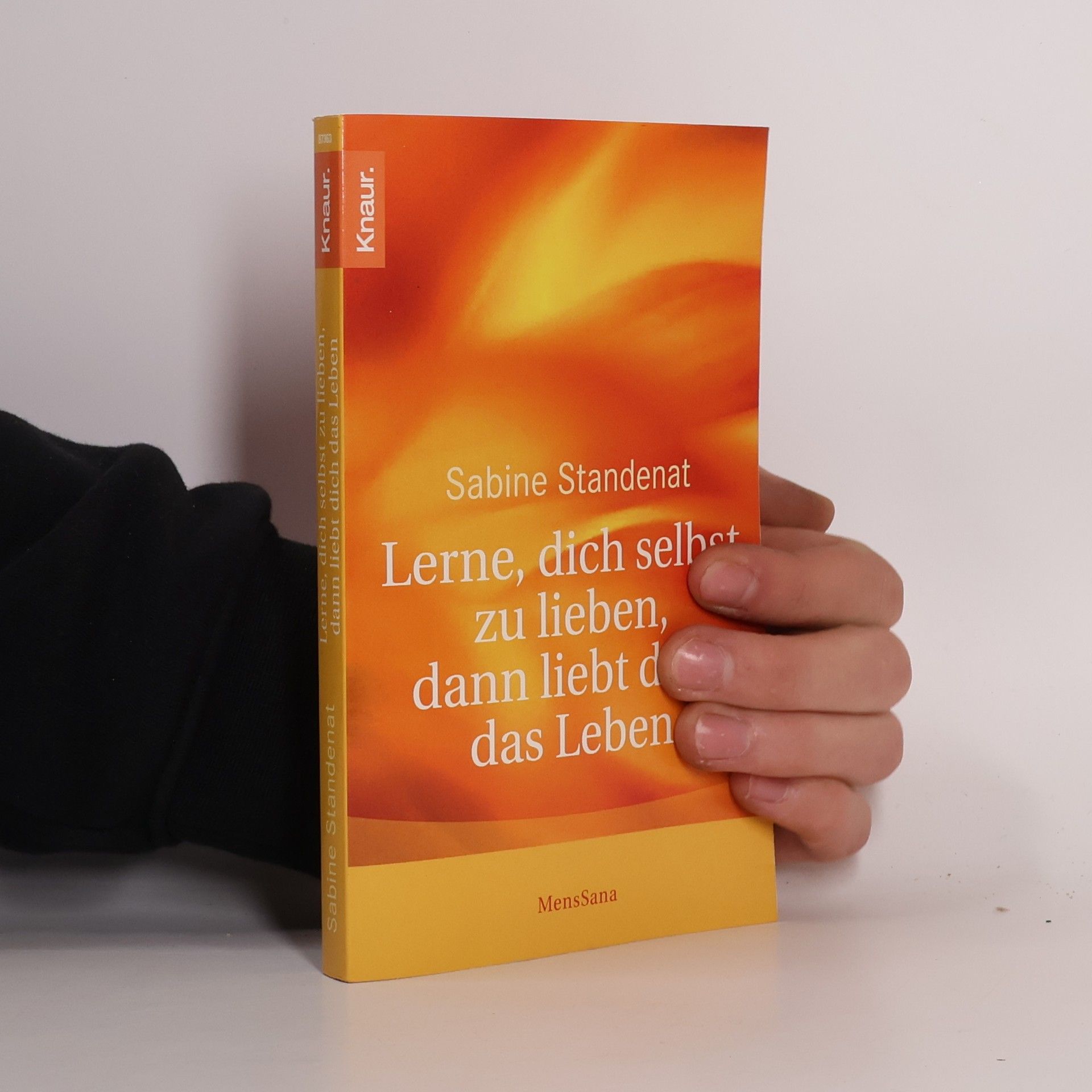 Sabine Stendenat Lerne, dich selbst zu lieben, dann liebt dich das Leben