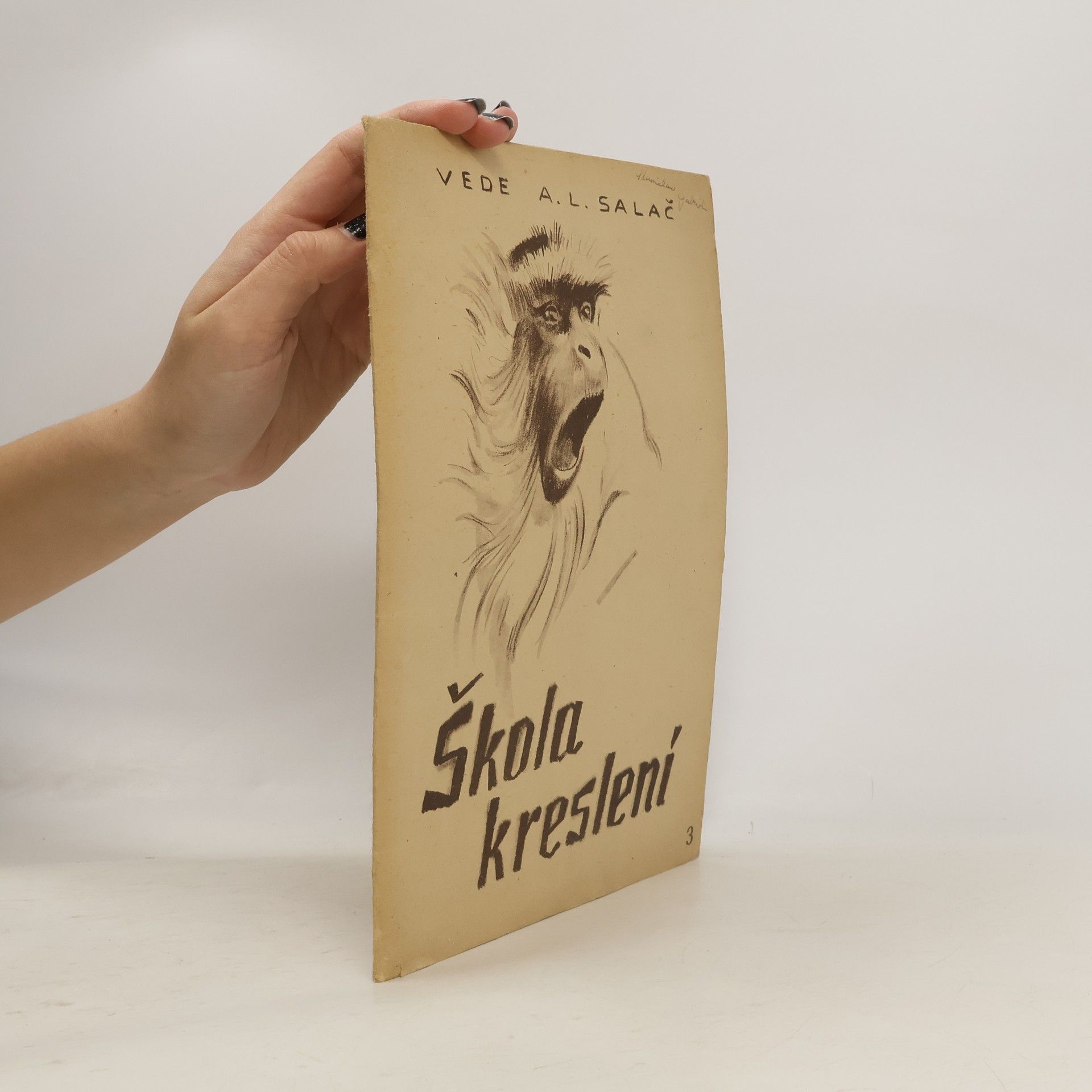 A. Ludvík Salač Škola kreslení 3