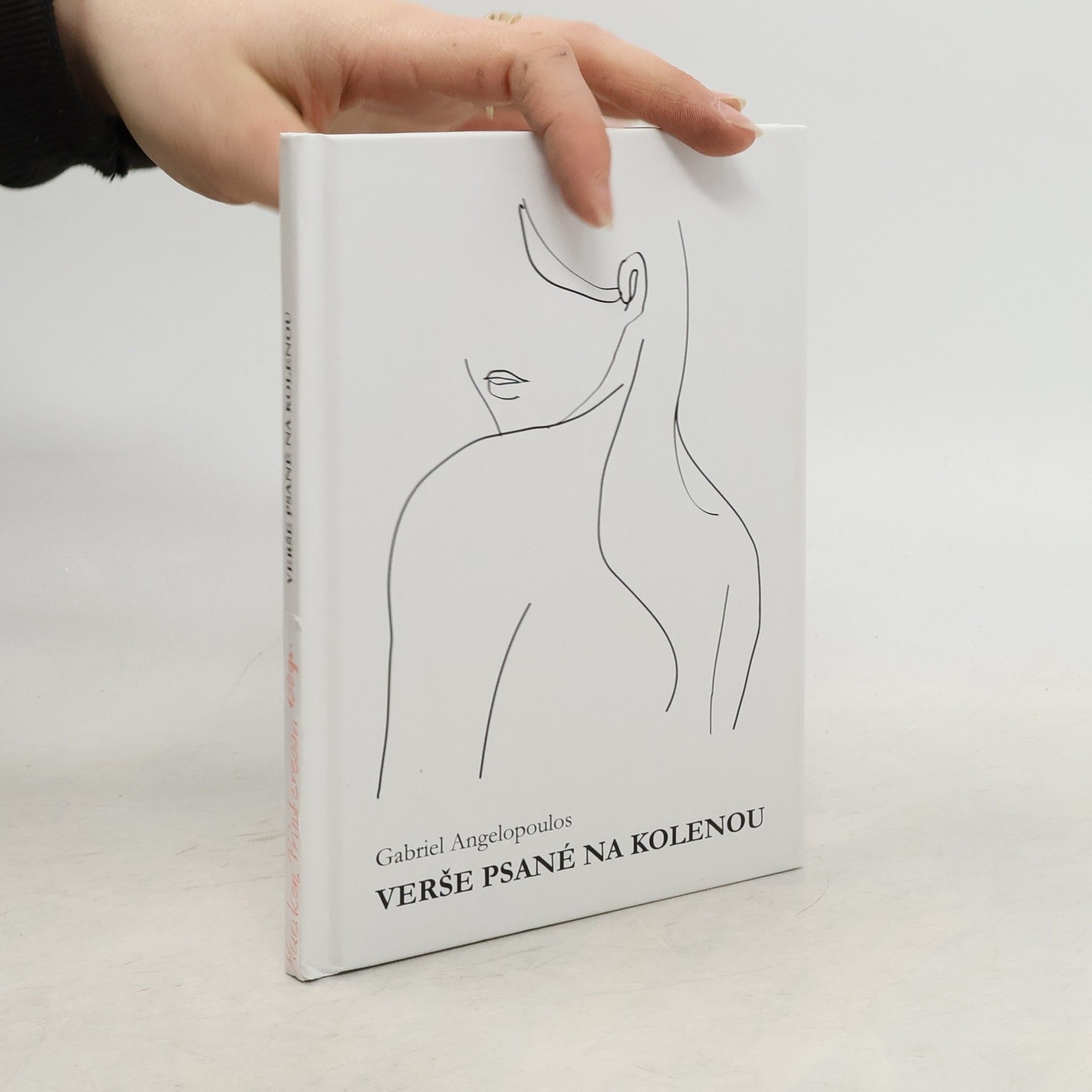 Angelopoulos Gabriel Verše psané na kolenou