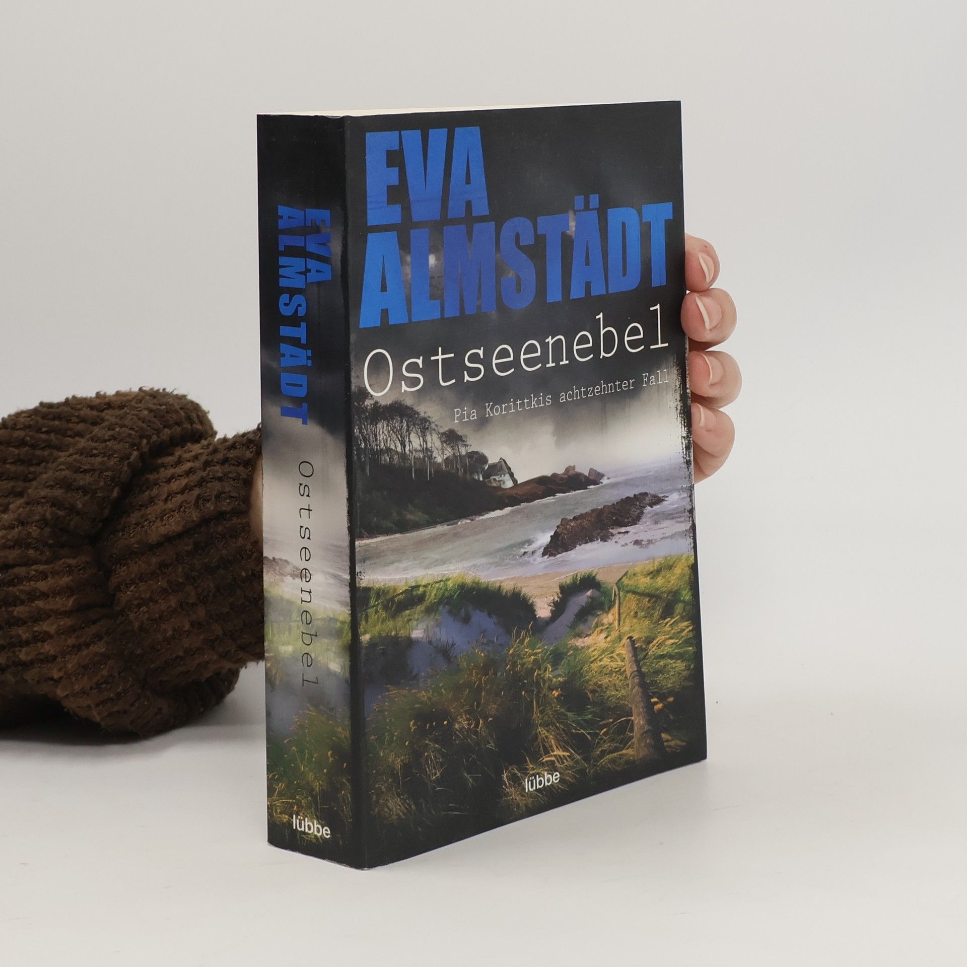 Eva Almstädt Ostseenebel