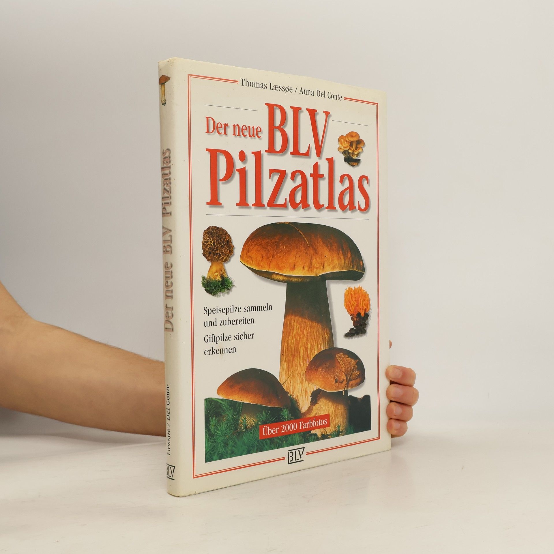 Thomas Laessoe Der neue BLV-Pilzatlas