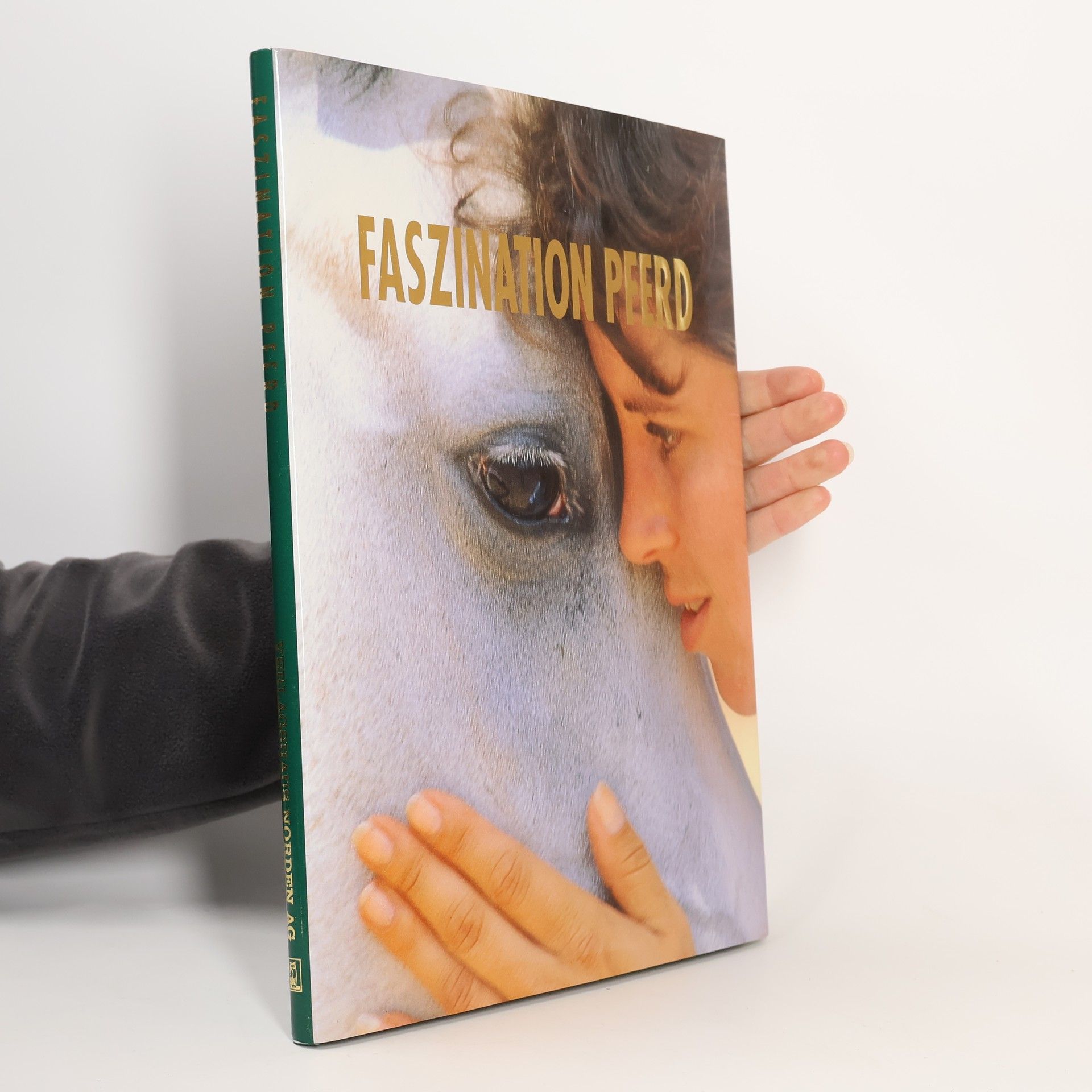 Faszination Pferd