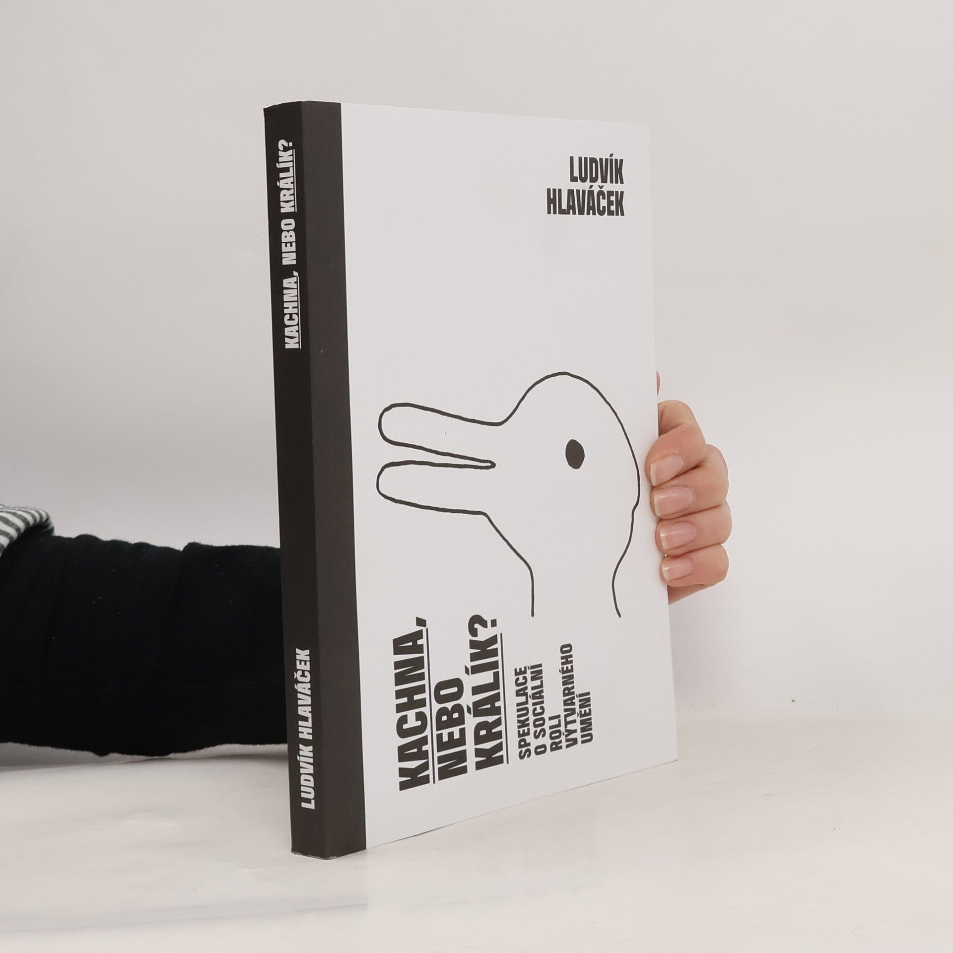 Ludvík Hlaváček Kachna, nebo králík?: Spekulace o sociální roli výtvarného umění