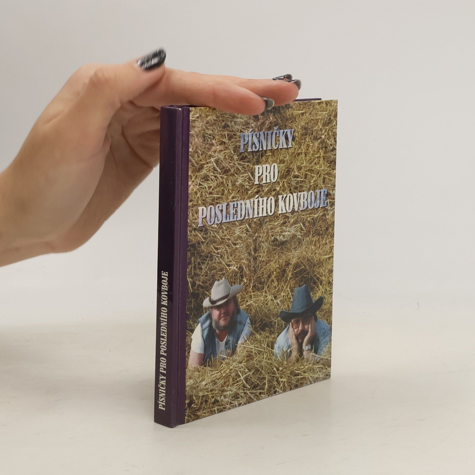 Zdeněk Rytíř Písničky pro posledního kovboje