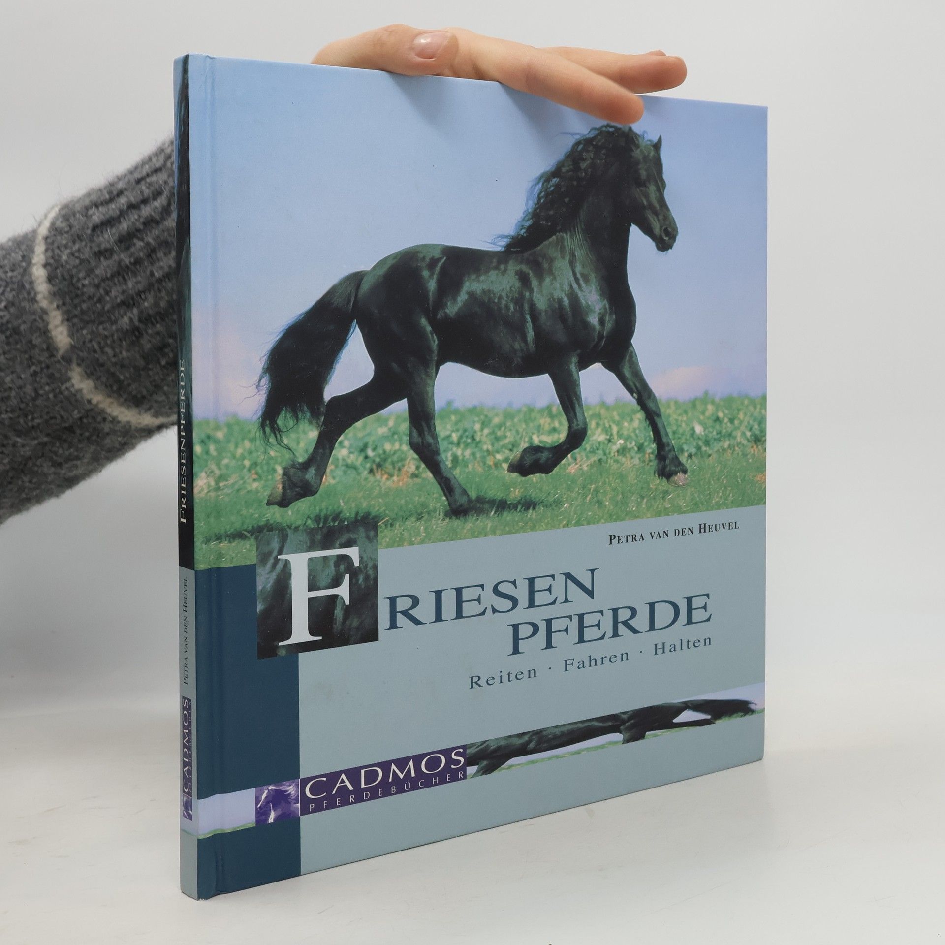 Petra van den Heuvel Friesenpferde