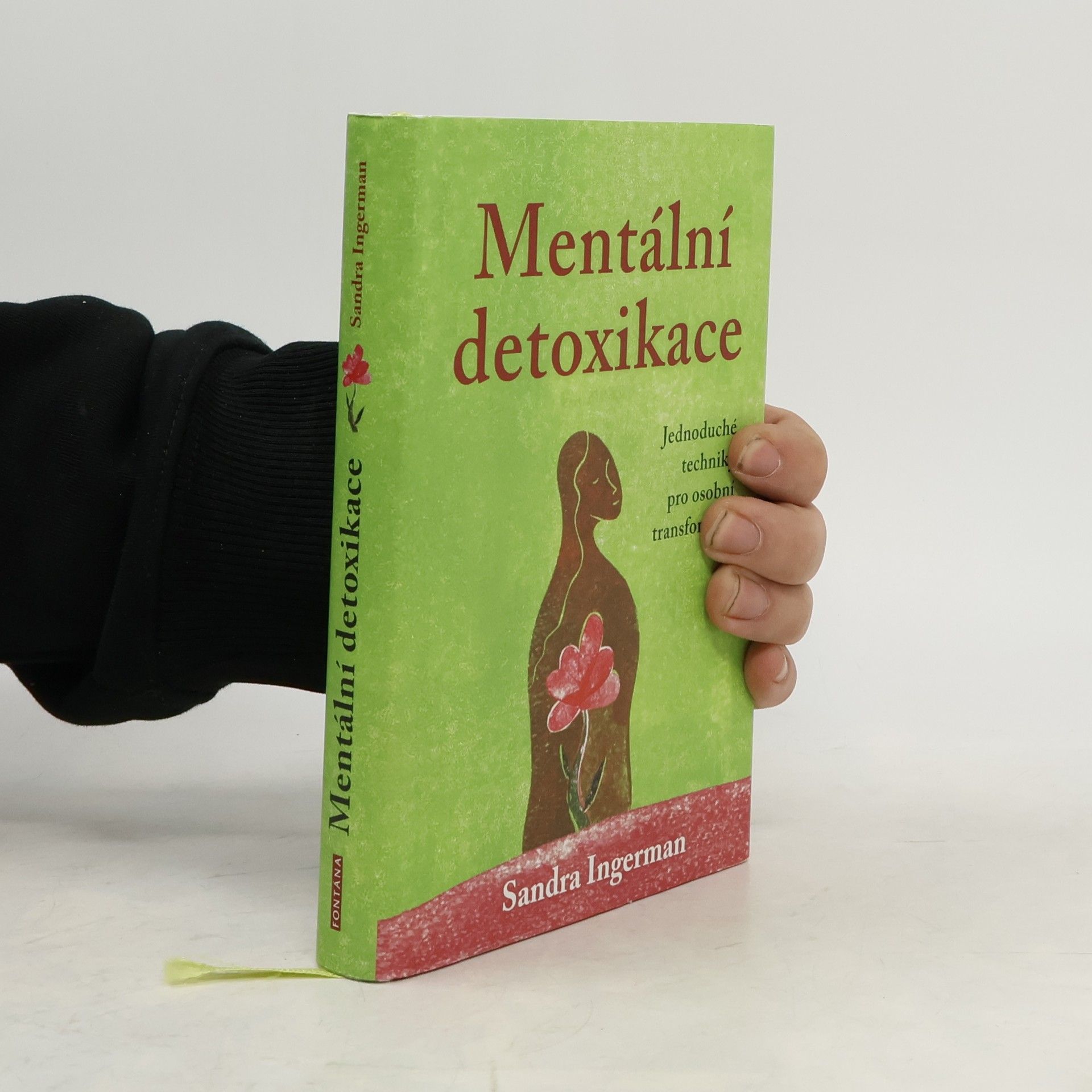 Sandra Ingerman Mentální detoxikace