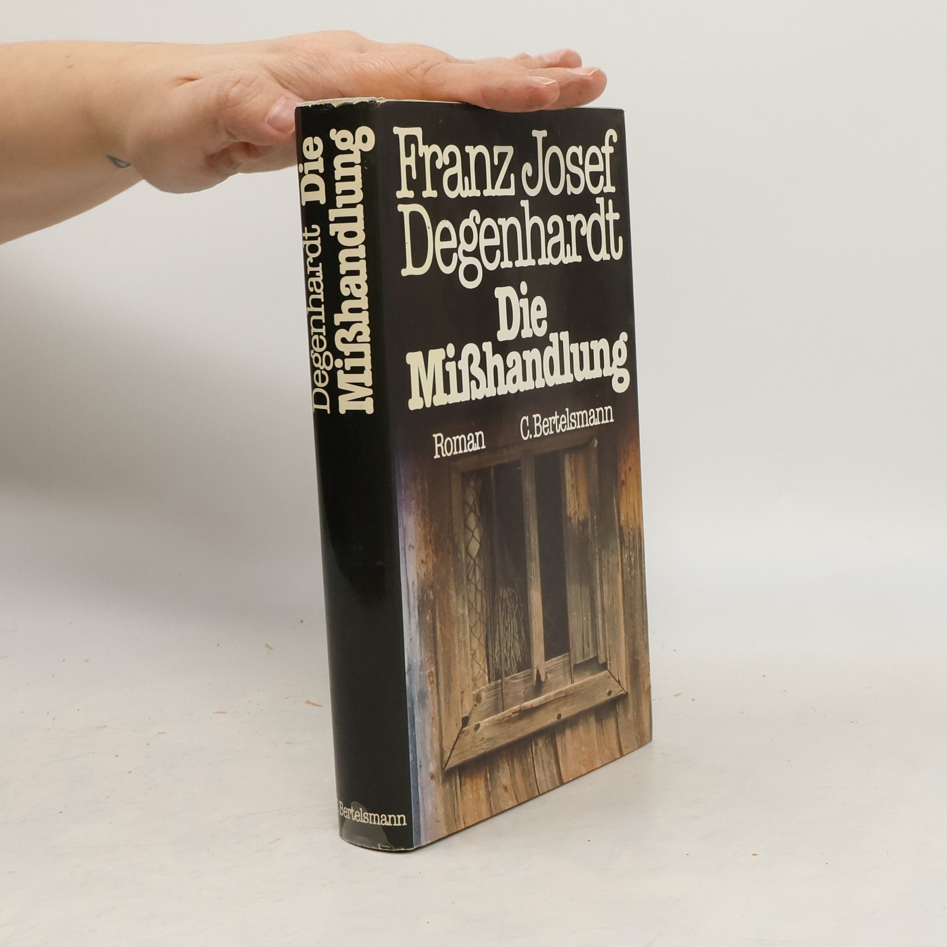 Franz Josef Degenhardt Die Misshandlung