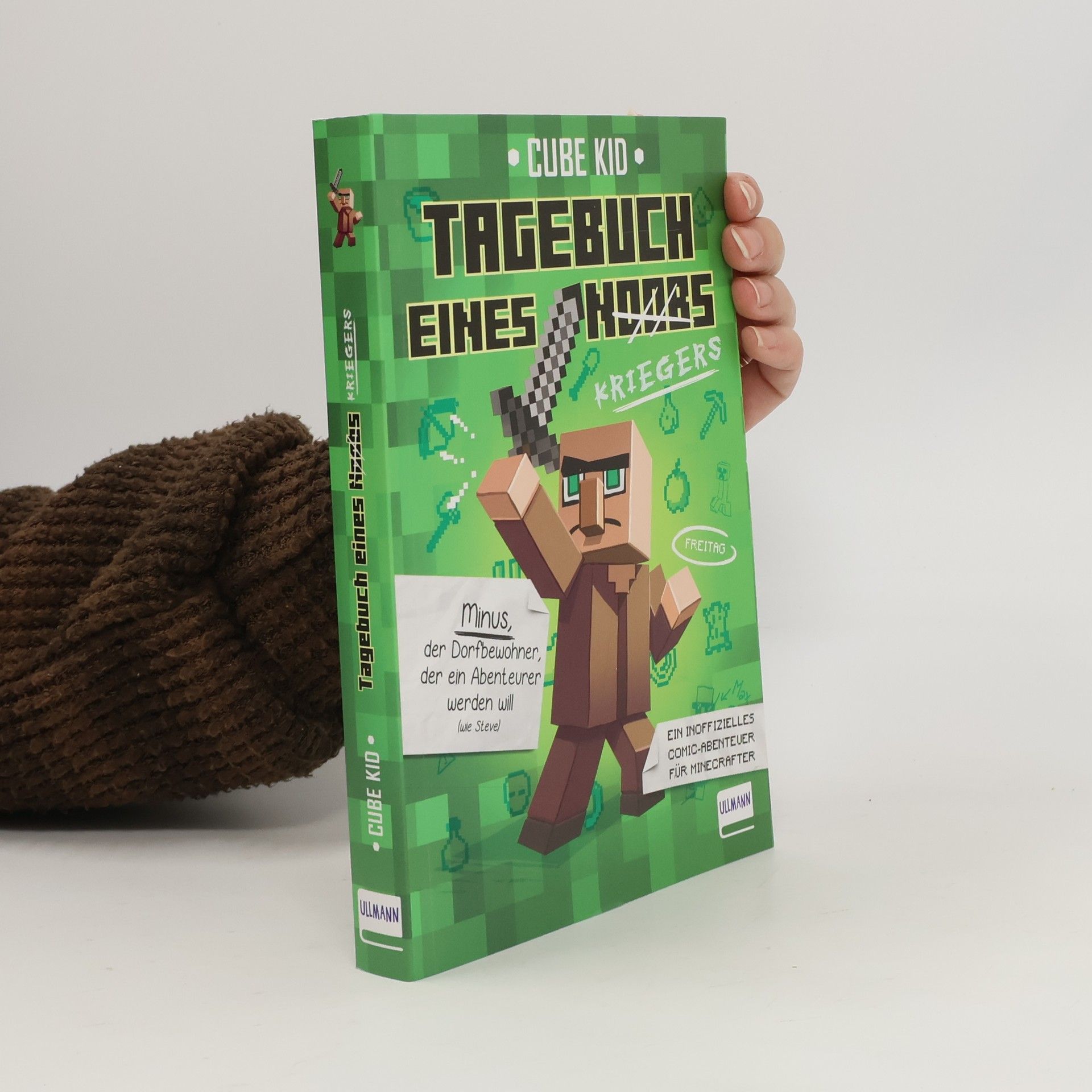 Cube Kid Tagebuch eines Noobs. Kriegers