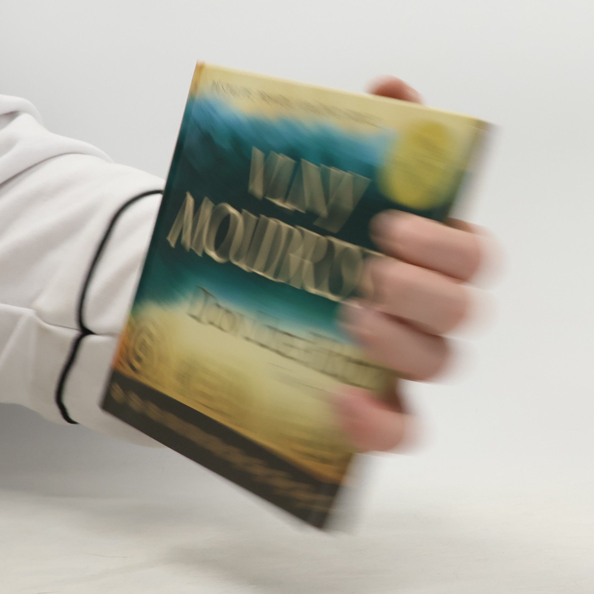 Tami Hudman Vlny moudrosti