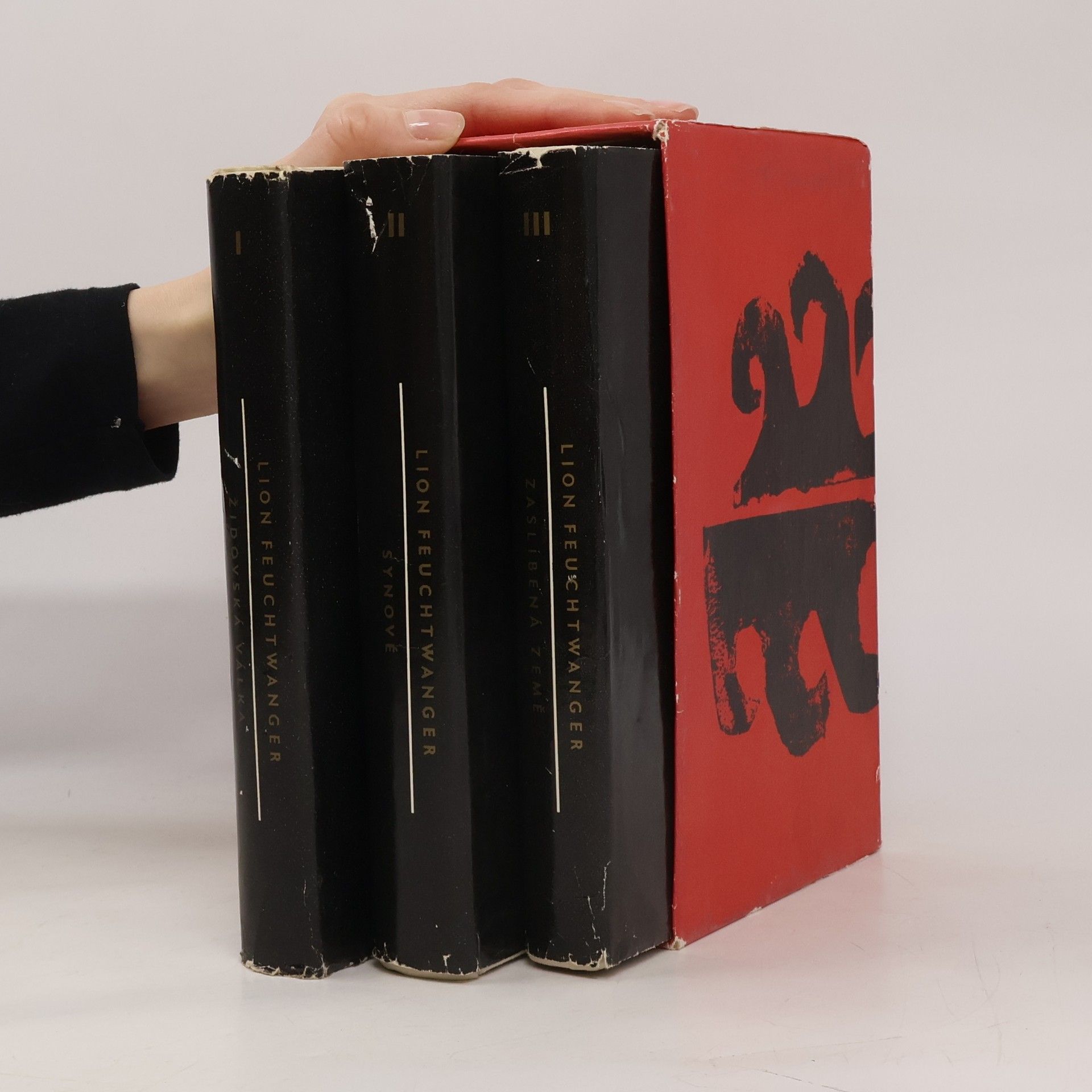 Židovská válka. Synové. Zaslíbená země