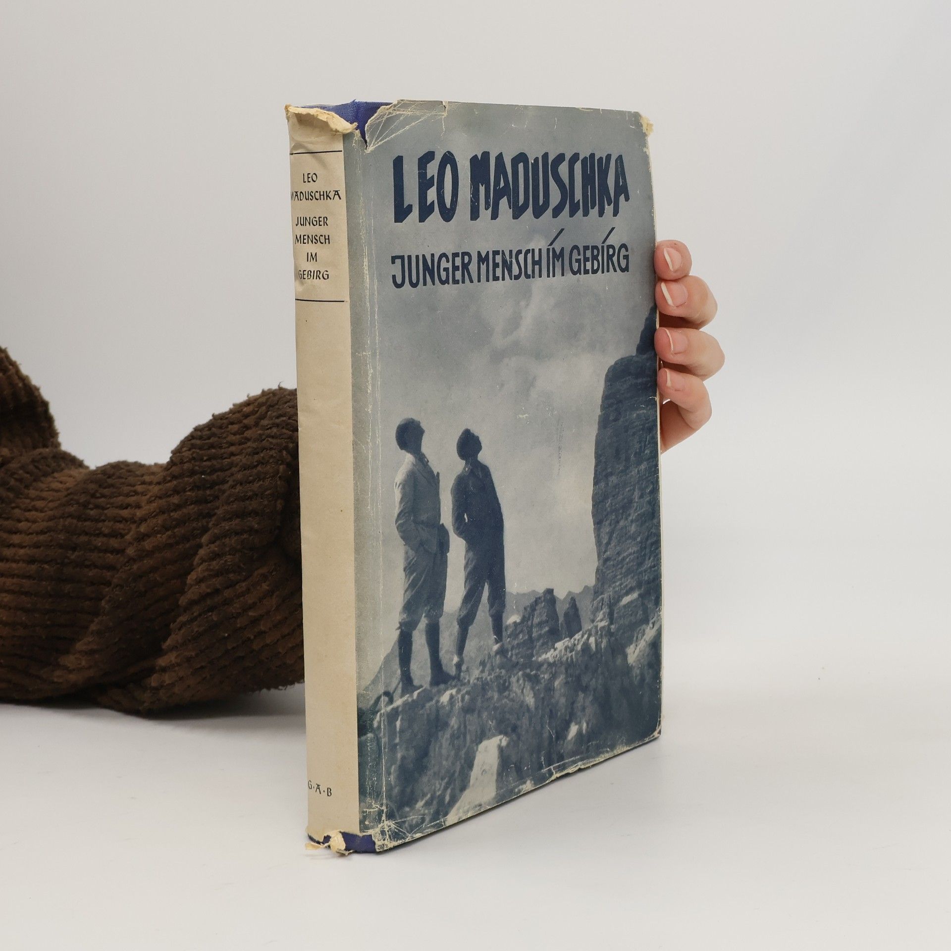 Junger Mensch im Gebirg