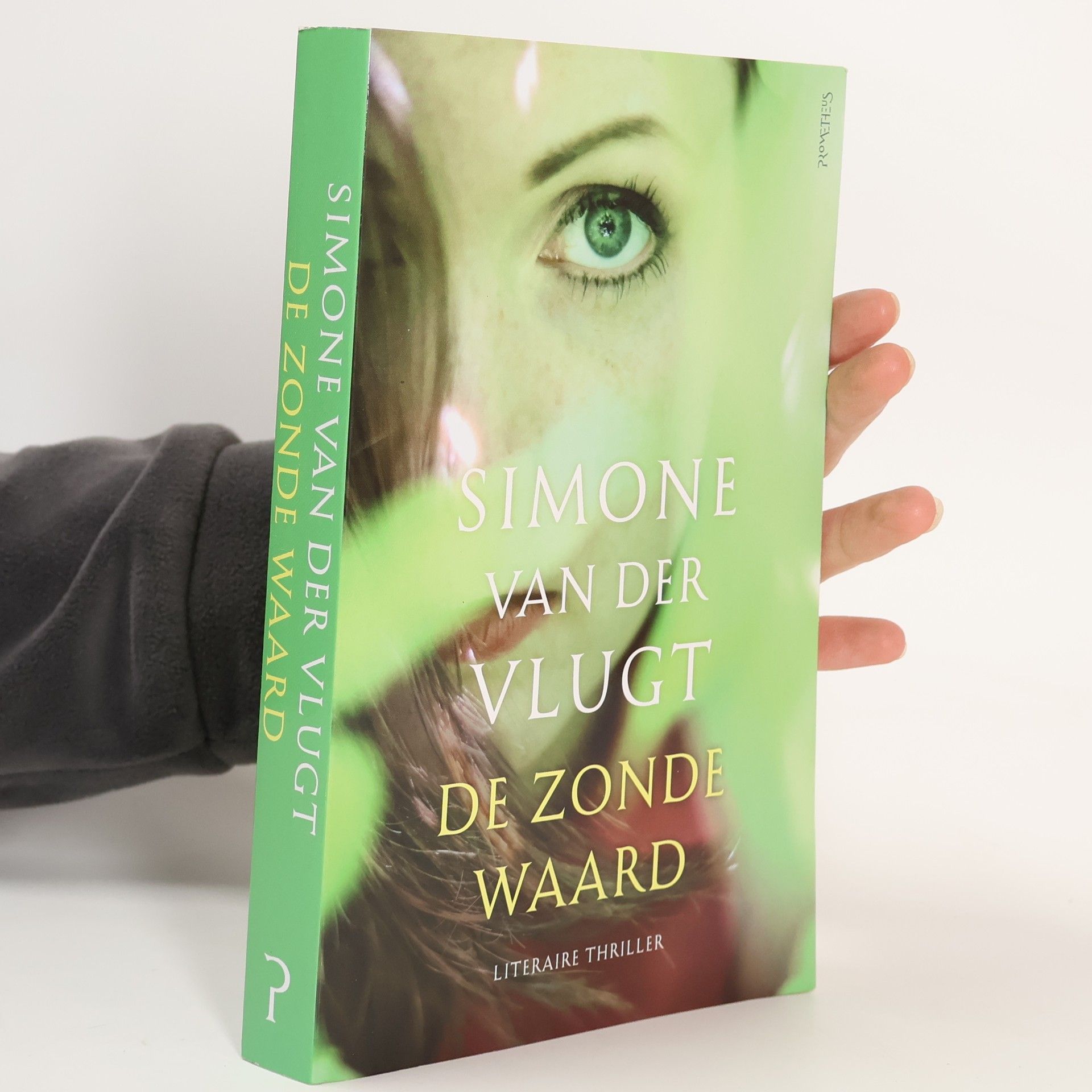 Simone van der Vlugt De zonde waard
