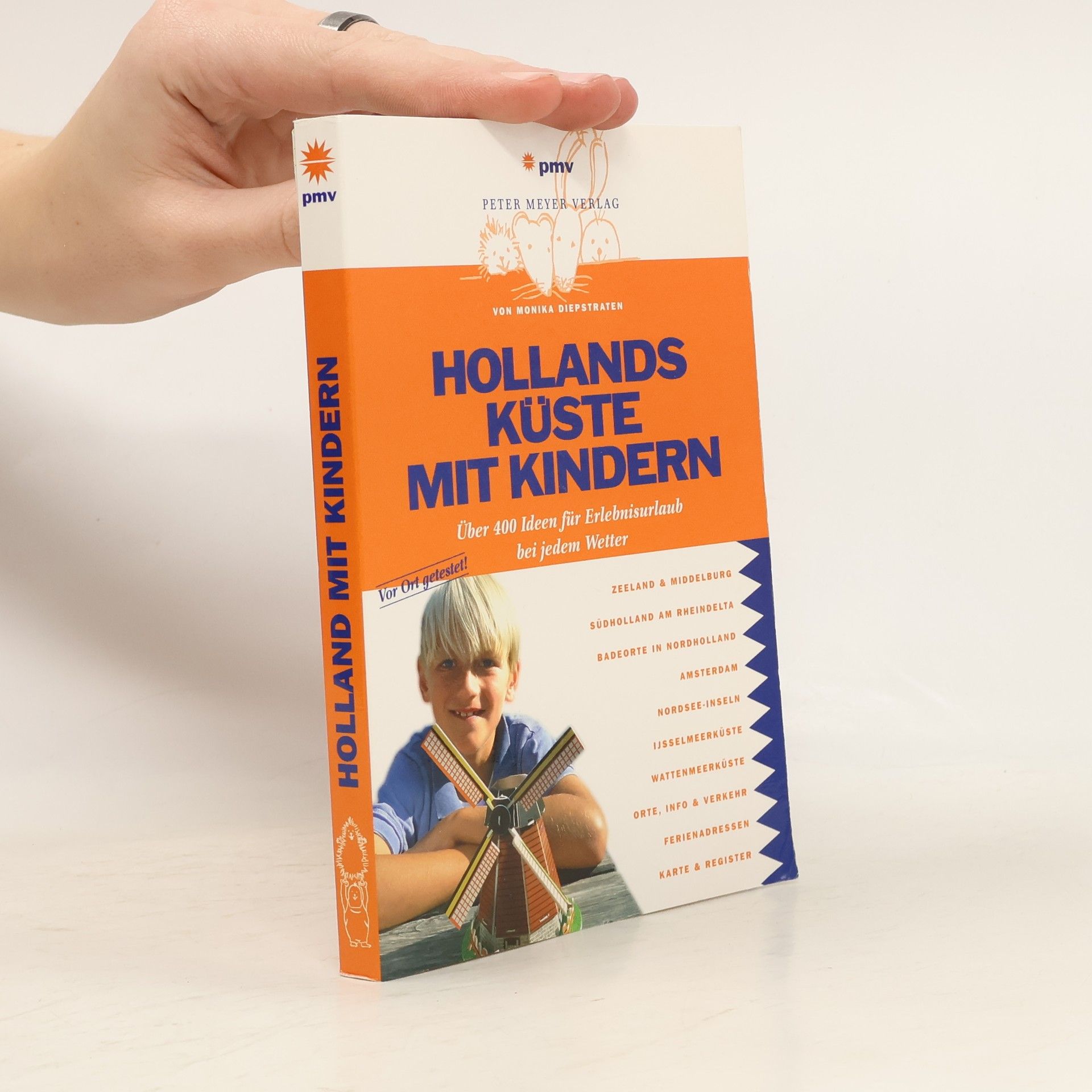 Hollands Küste mit Kindern