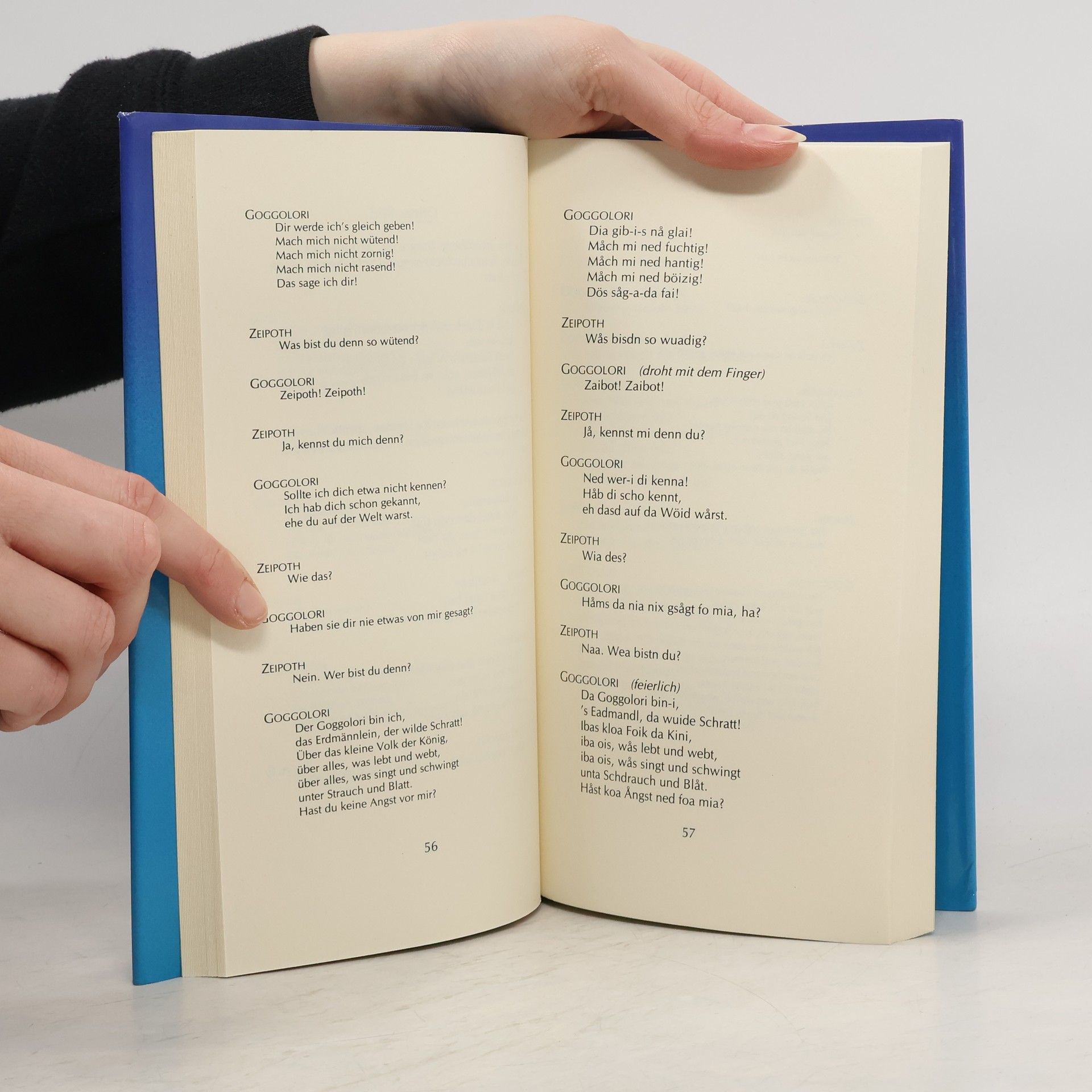 Michael Ende Der Goggolori. Eine bairische Mär. Stück in acht Bildern und einem Epilog