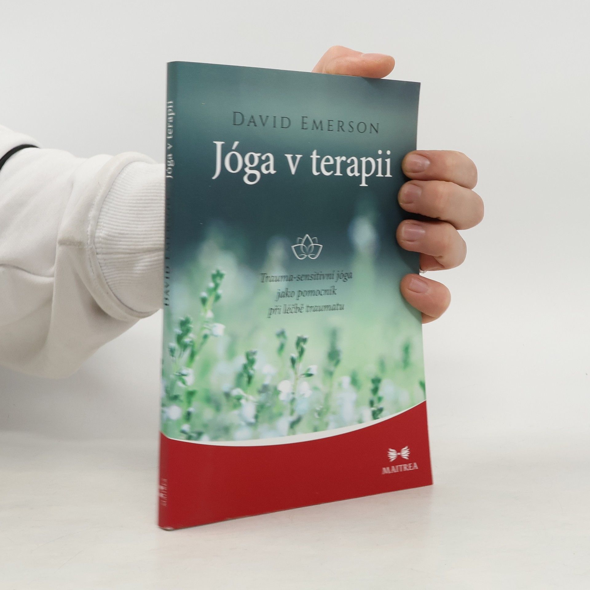David Emerson Jóga v terapii