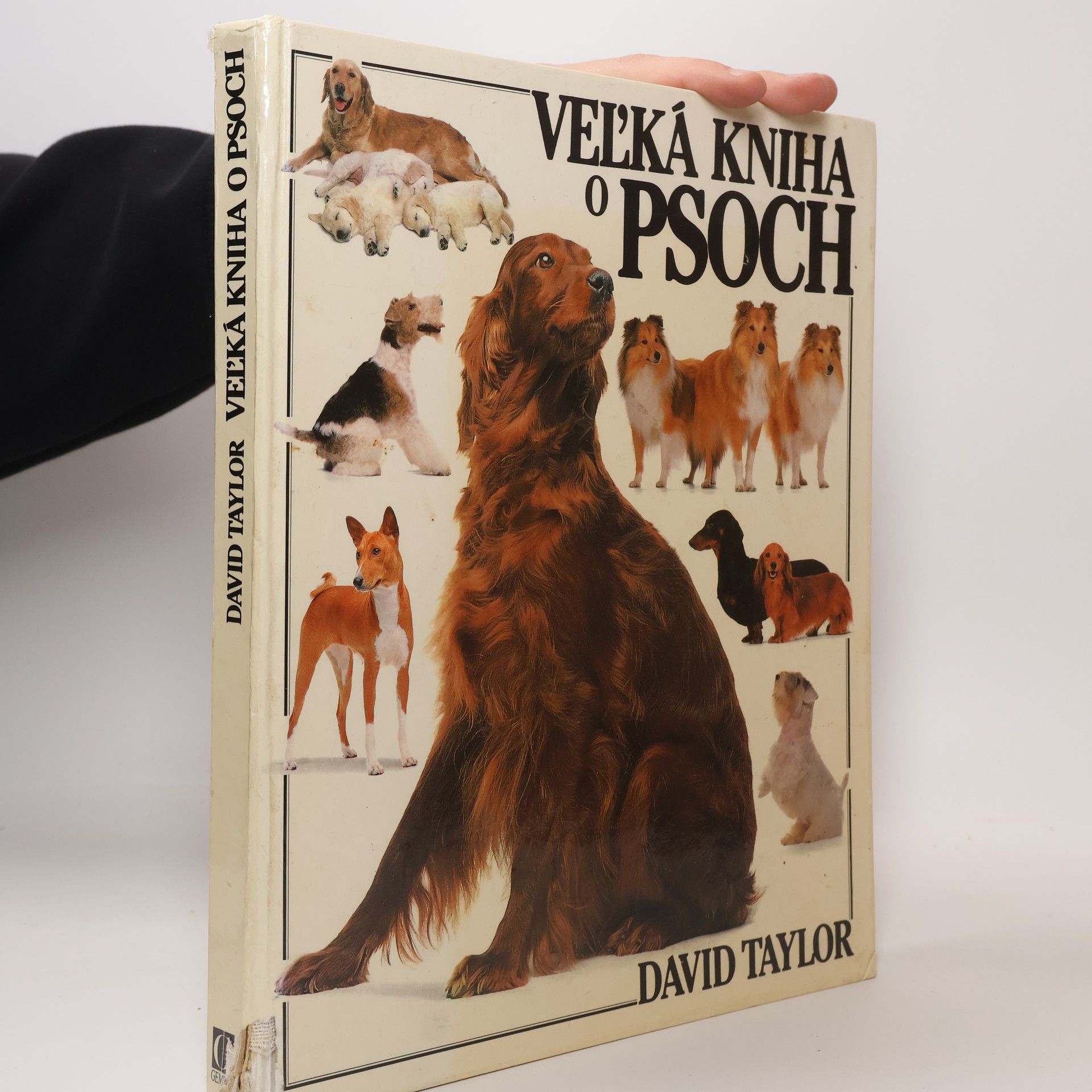 David Conrad Taylor veĺká kniha o psoch