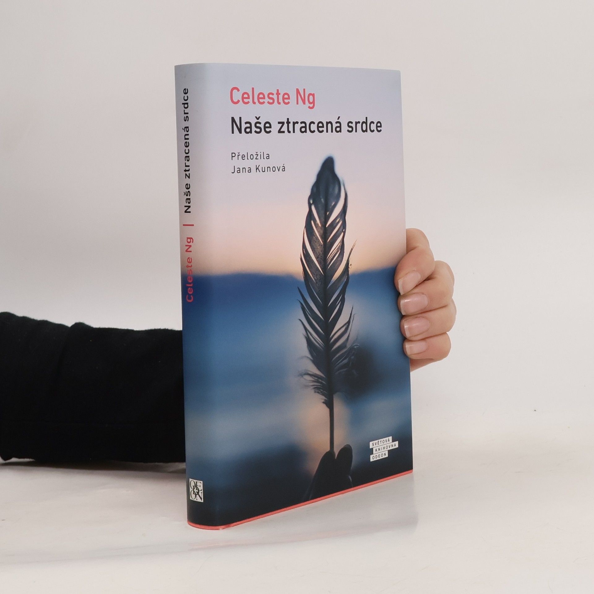 Celeste Ng Naše ztracená srdce