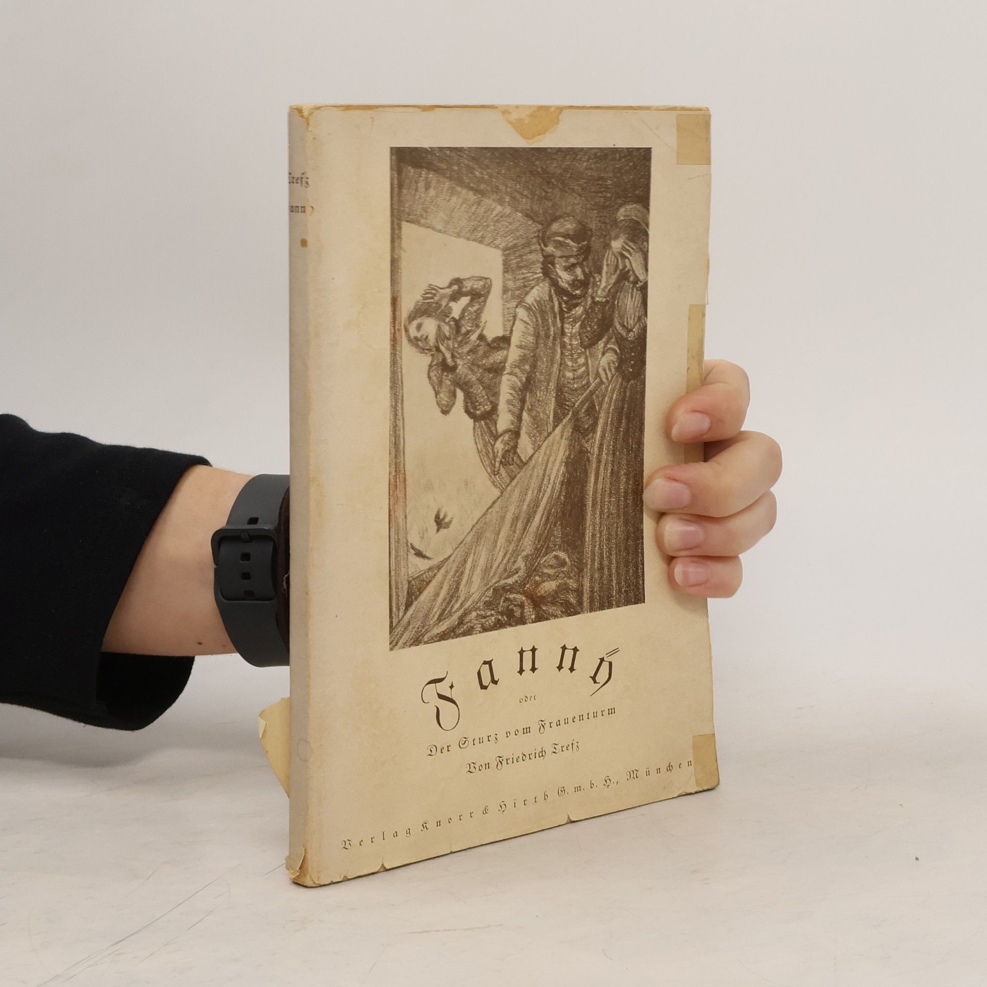 Friedrich Trefz Fanny oder Der Sturz vom Frauenturm