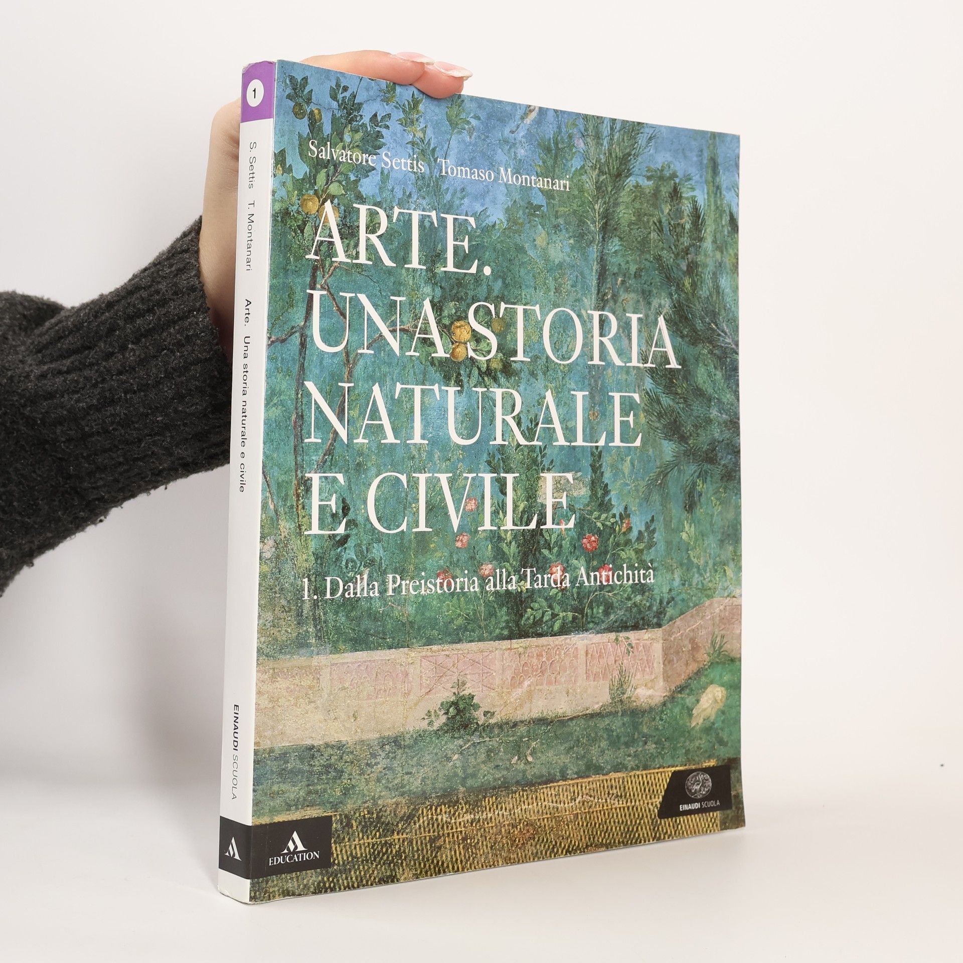 Arte. Una storia naturale e civile