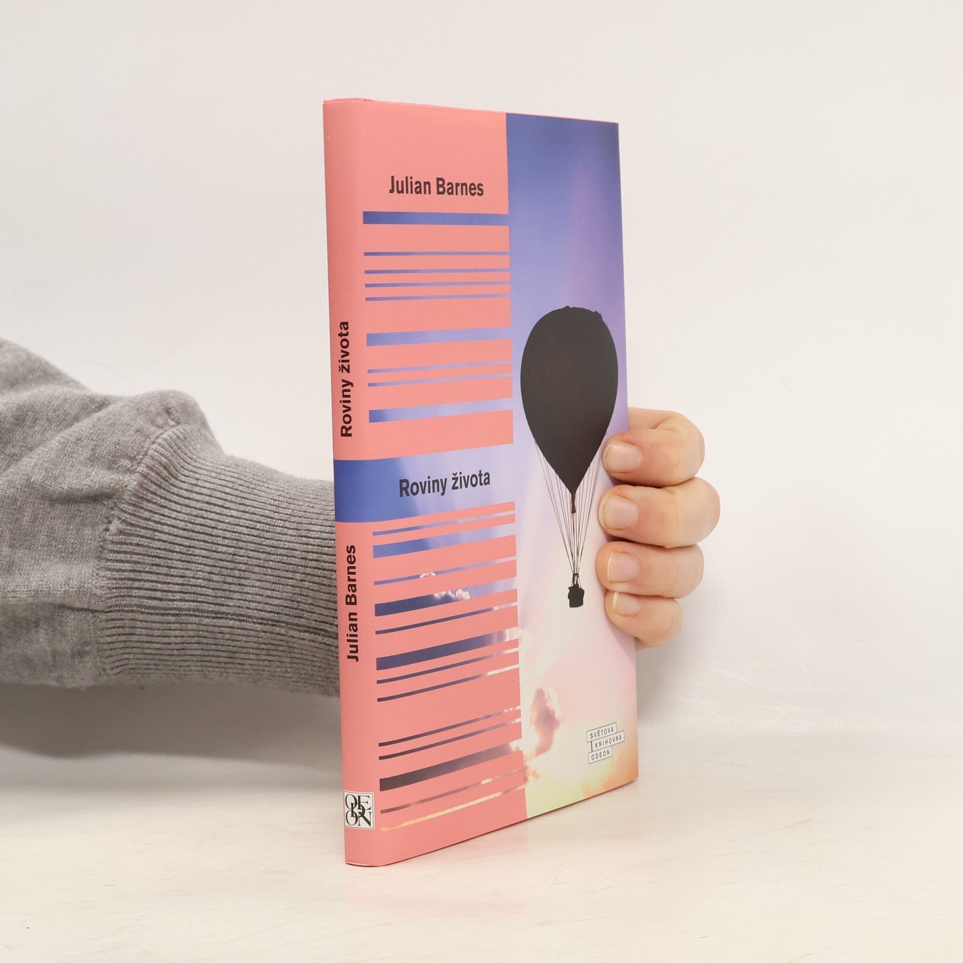 Julian Barnes Roviny života
