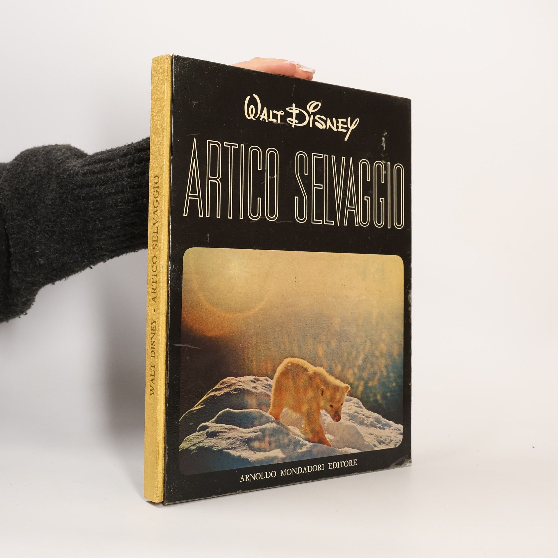 AA.VV. Artico selvaggio