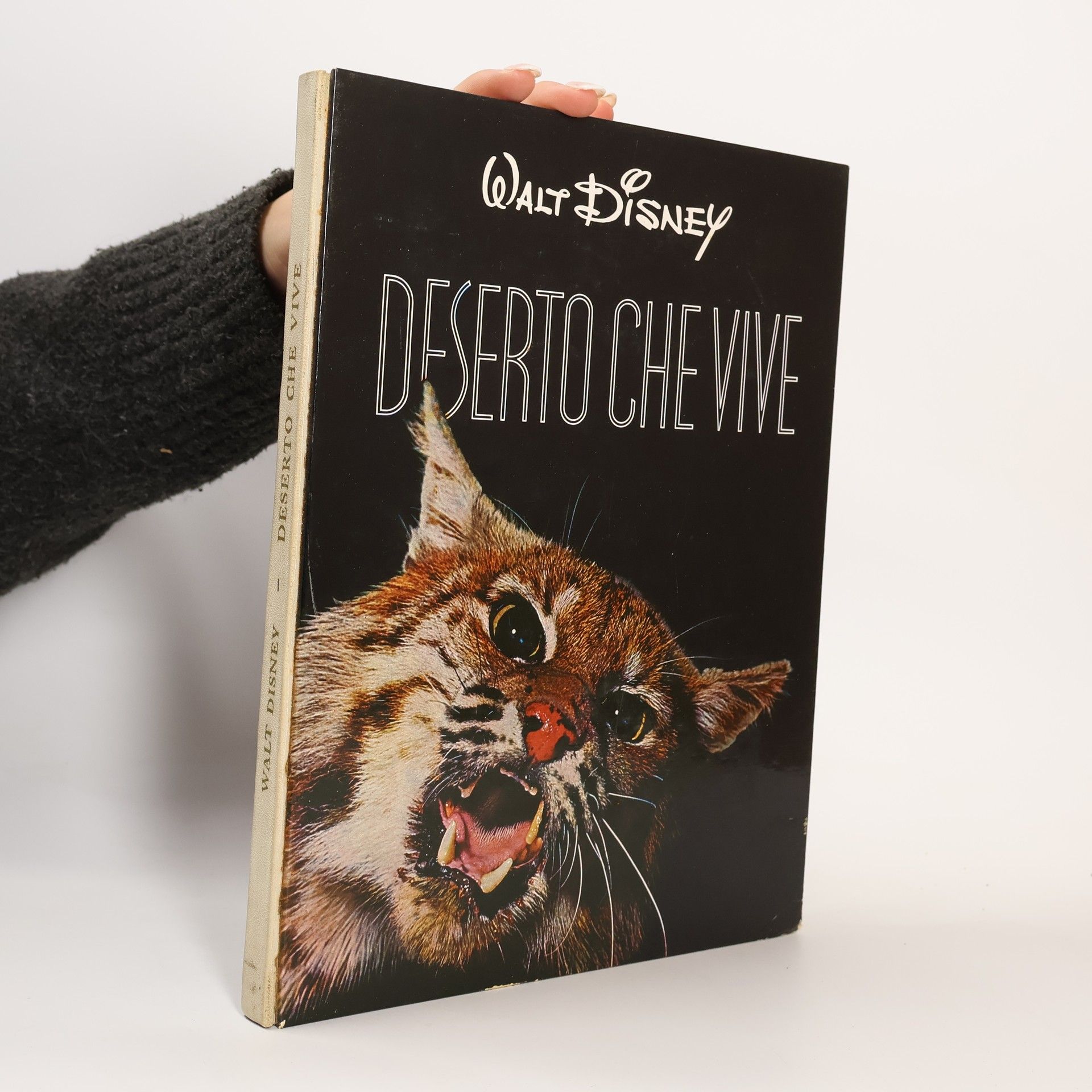 AA.VV. Deserto che vive