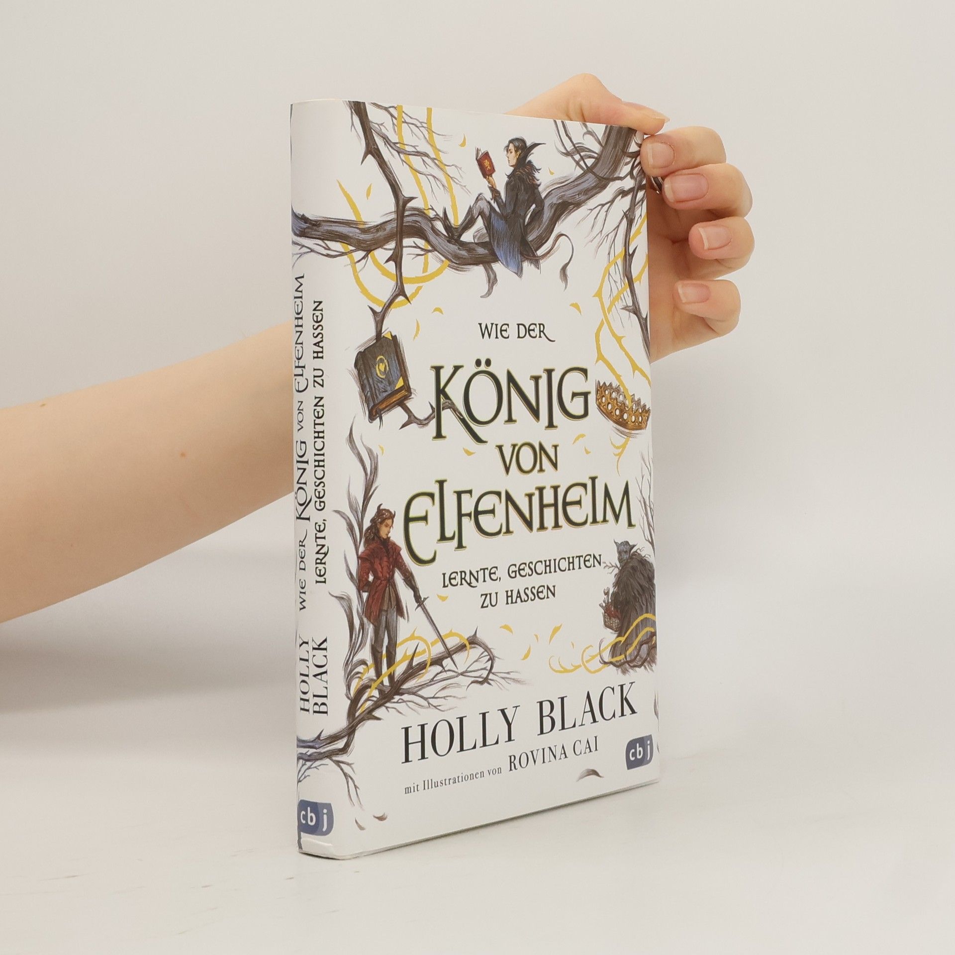 Holly Black Wie der König von Elfenheim lernte, Geschichten zu hassen