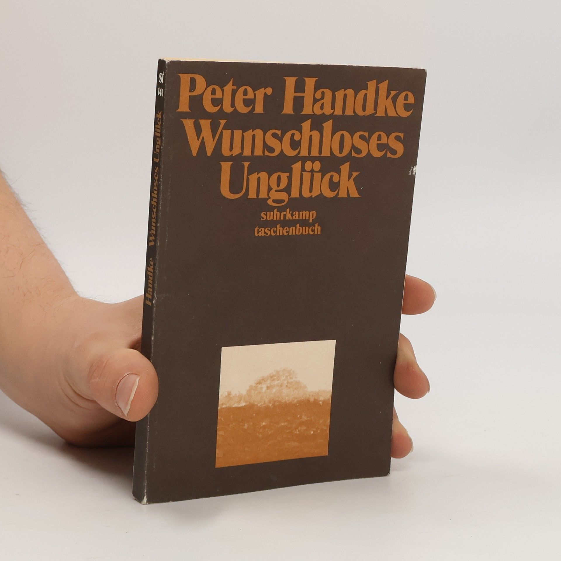 Peter Handke Wunschloses Unglück: Erzählung
