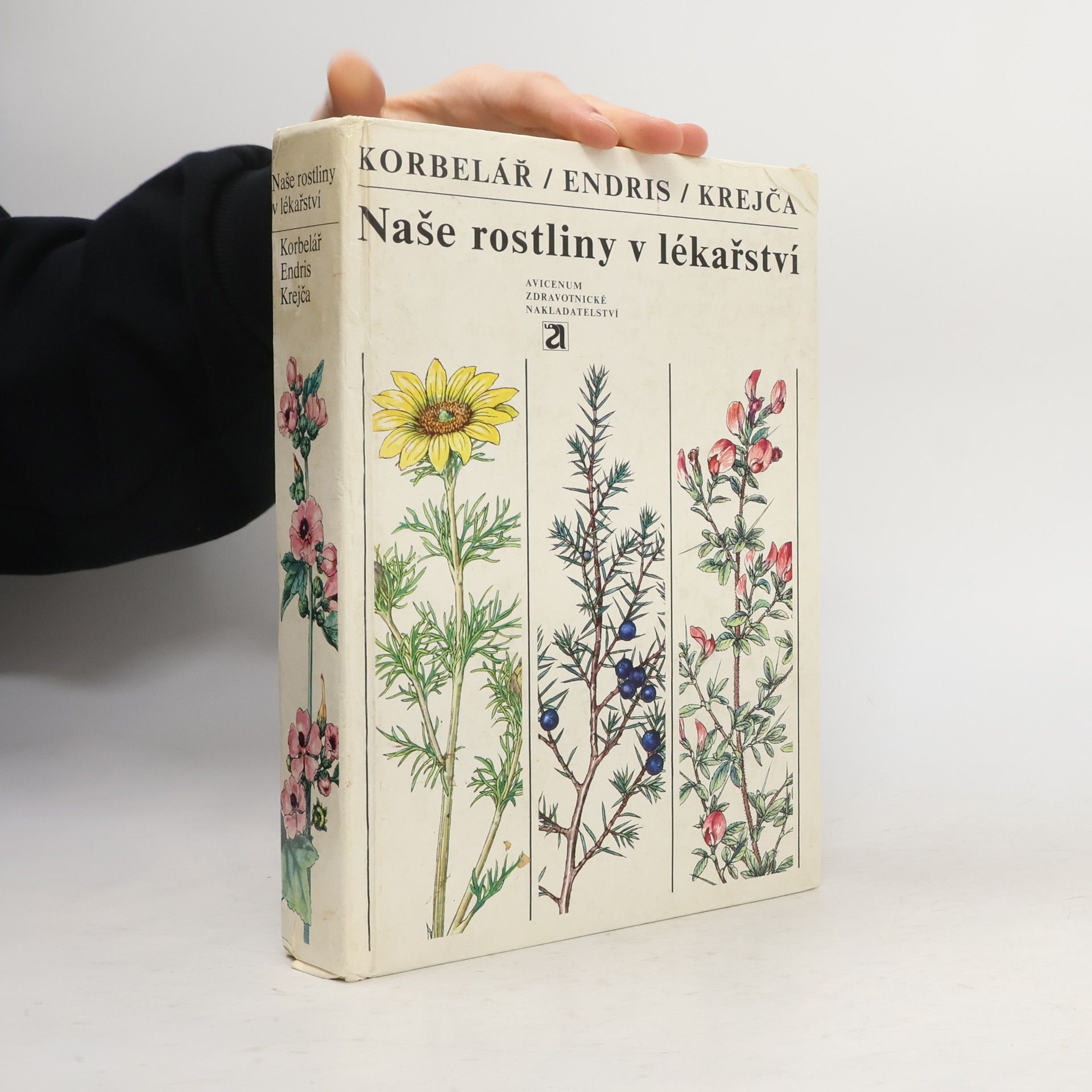 Zdeněk Endris Naše rostliny v lékařství