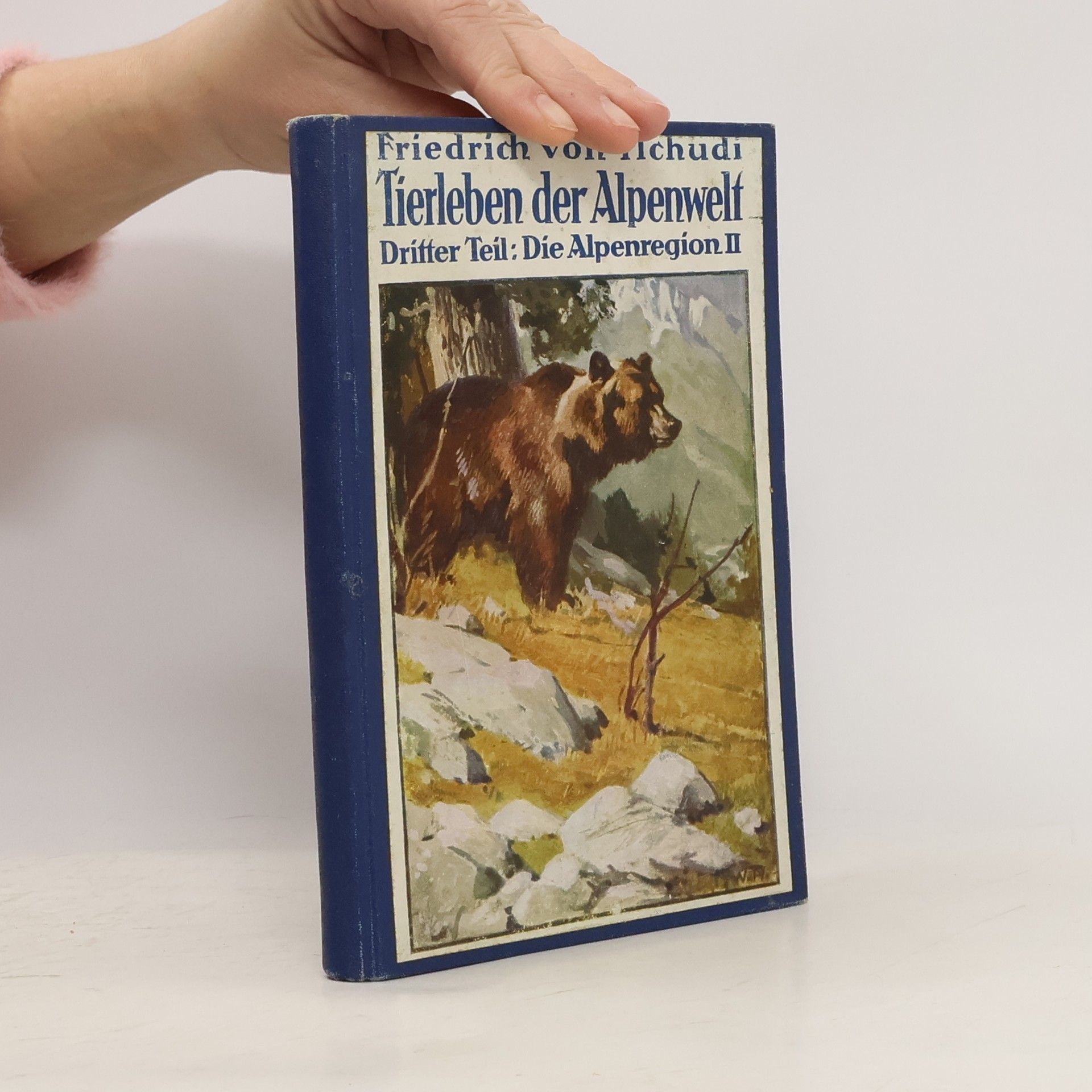 Friedrich Von Tschudi Tierleben der Alpenwelt III. Die Alpenregion II.