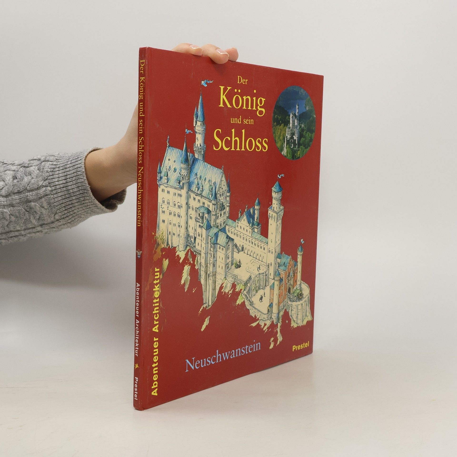 Der König und sein Schloss