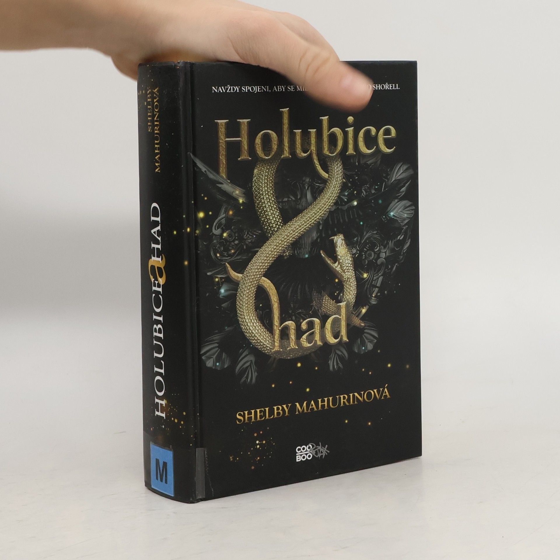 Shelby Mahurin Holubice a had