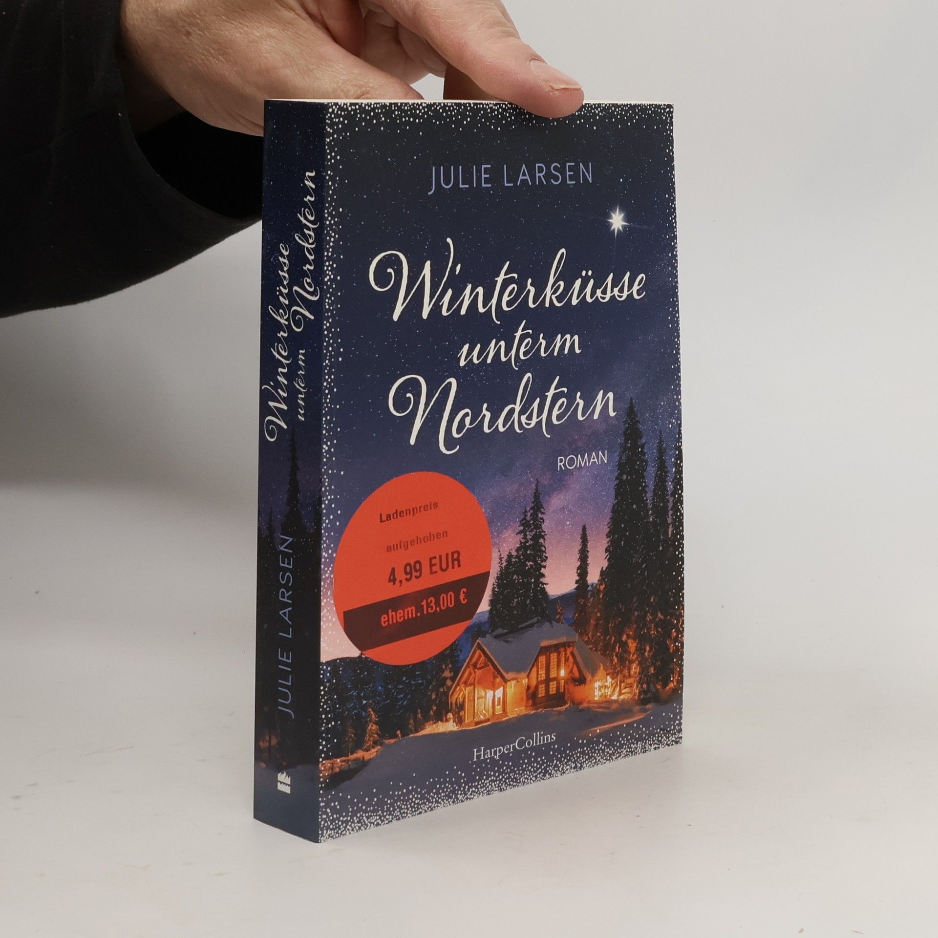 Julie Larsen Winterküsse unterm Nordstern