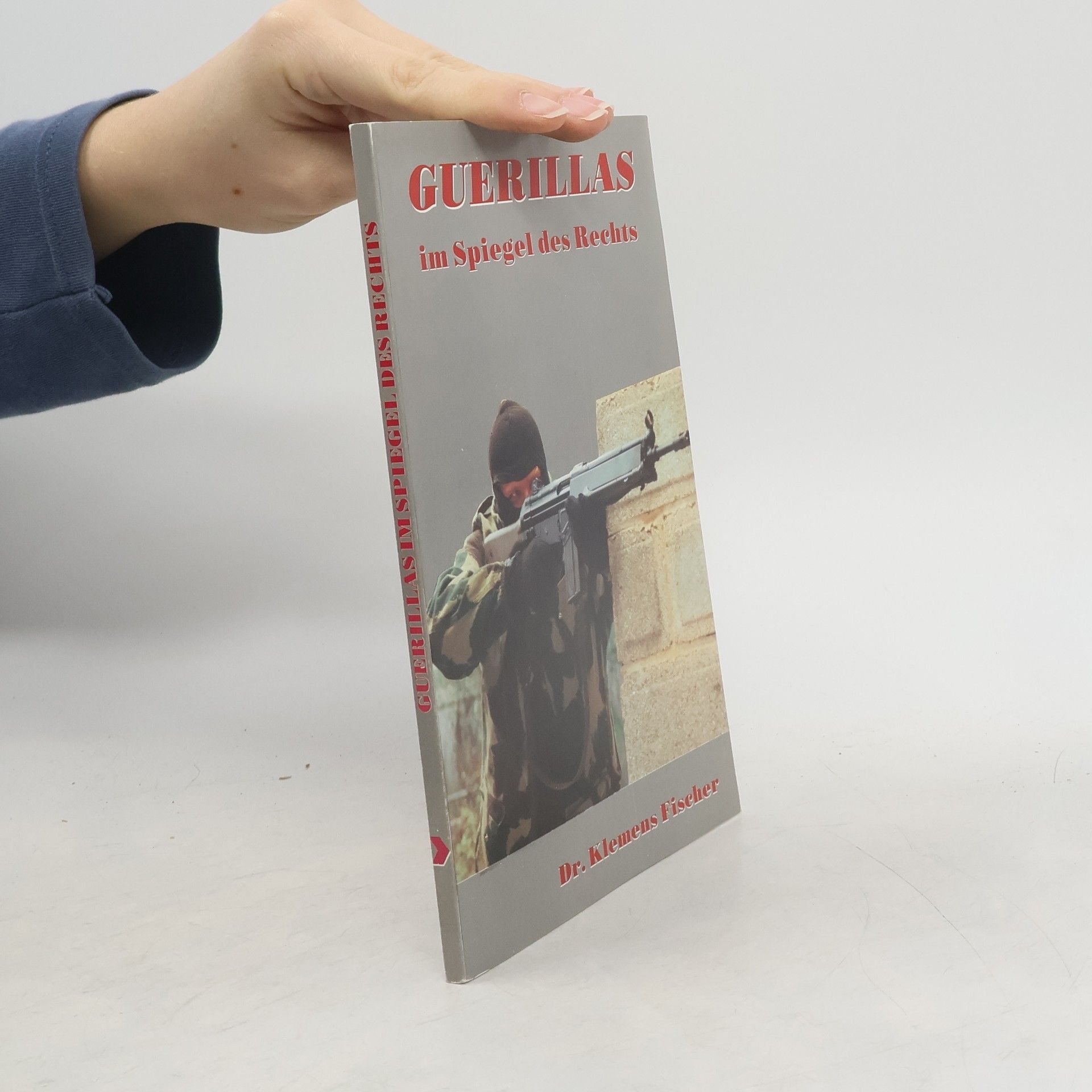 Guerillas im Spiegel des Rechts