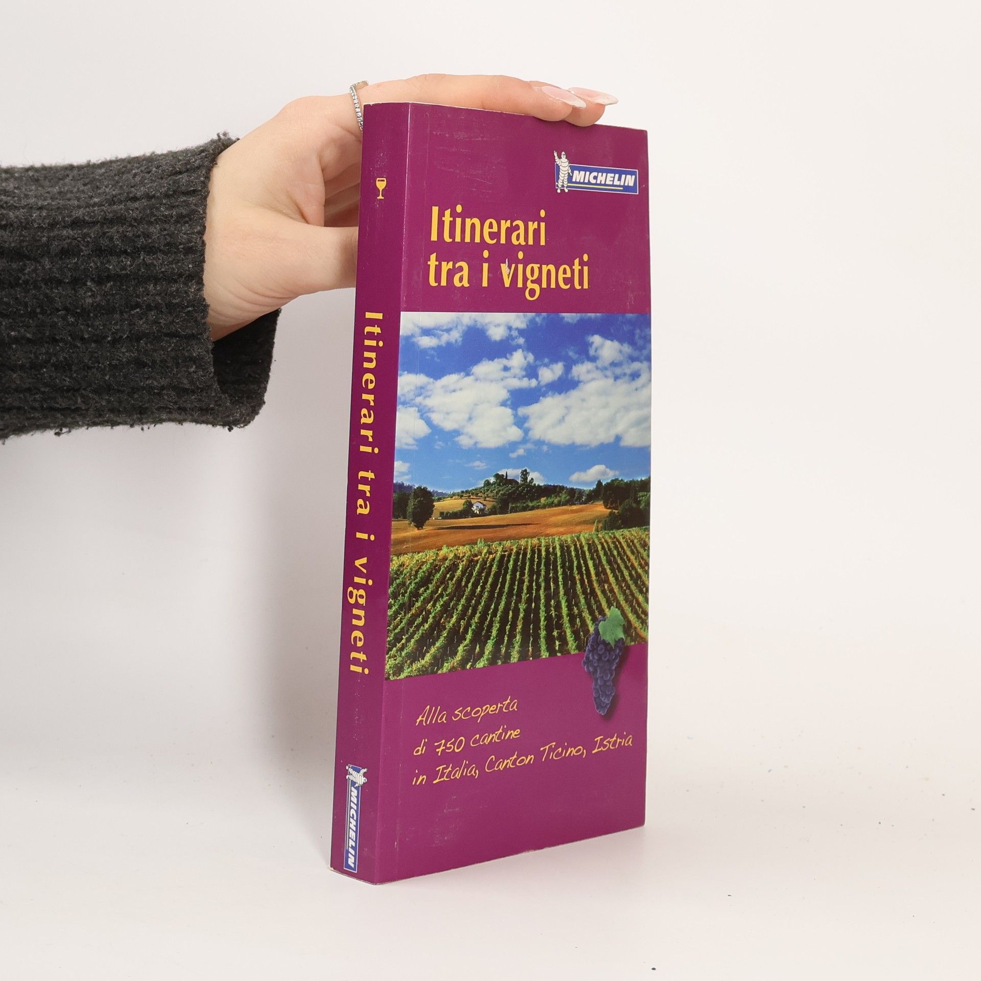 Autorenkollektiv Itinerari tra i vigneti