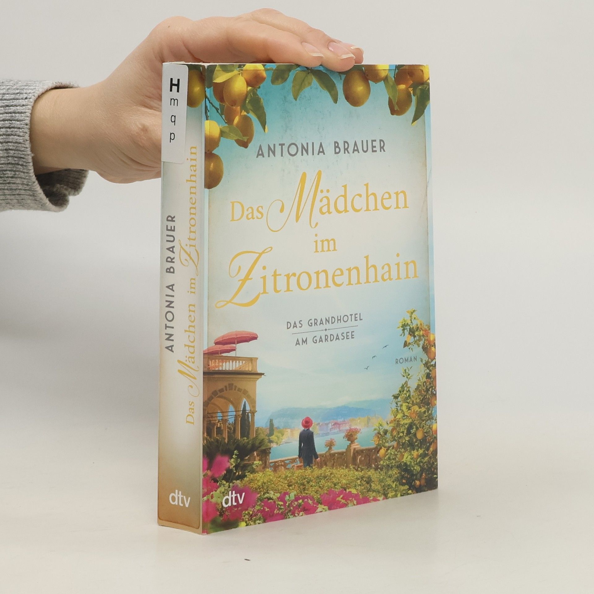 Antonia Brauer Das Mädchen im Zitronenhain