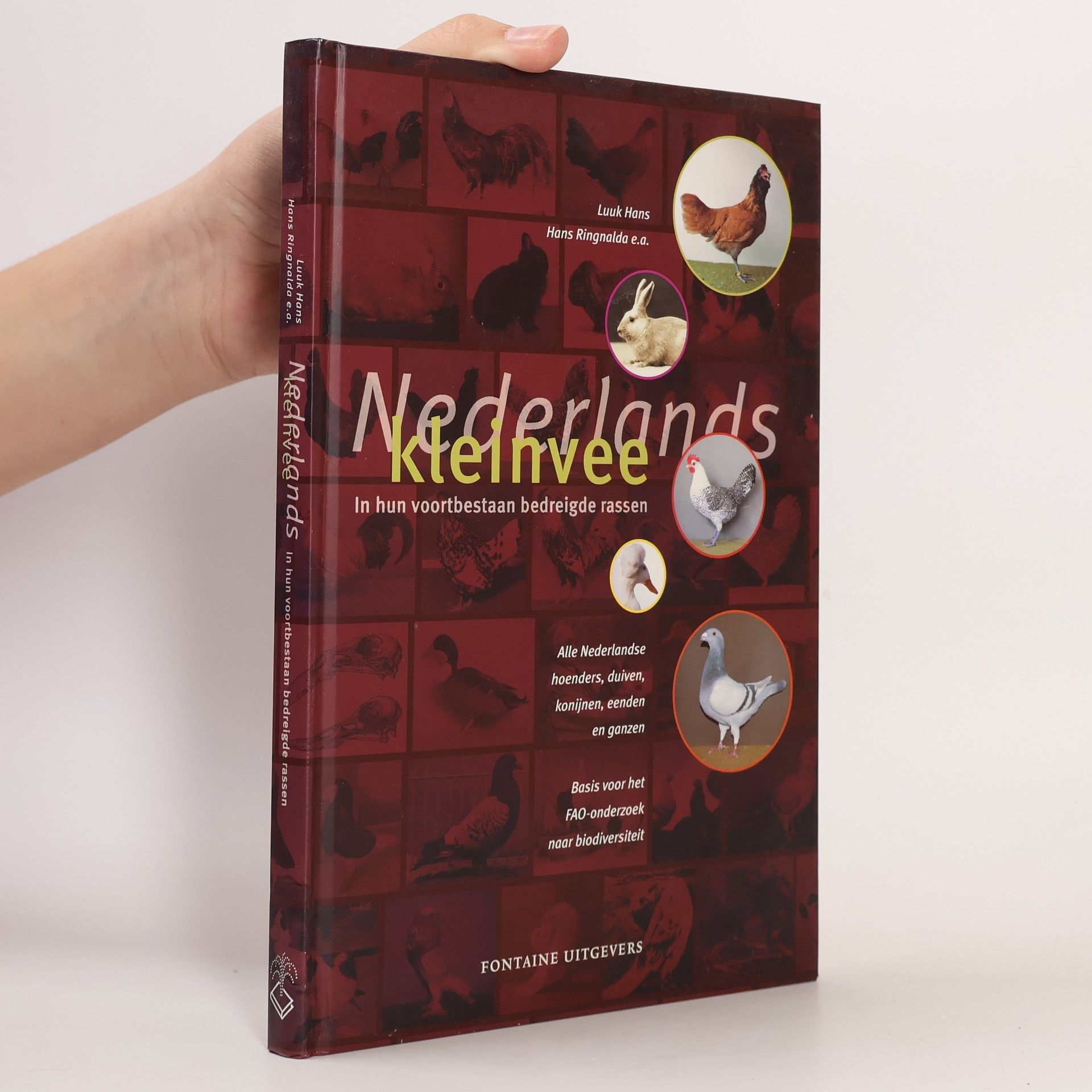 Luuk Hans Nederlands kleinvee