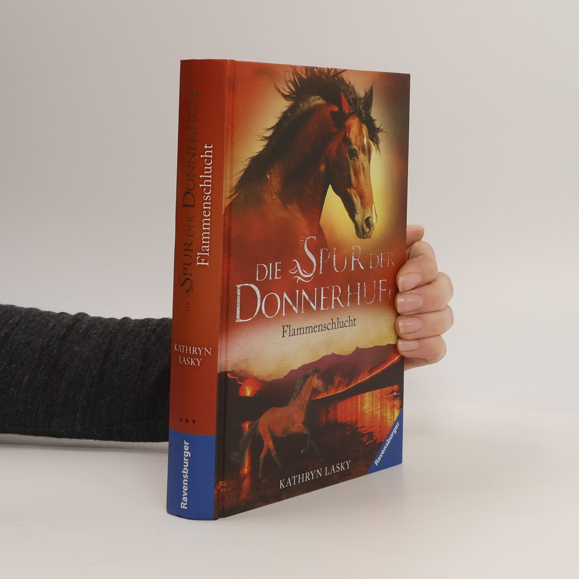 Die Spur der Donnerhufe. Band 1: Flammenschlucht.