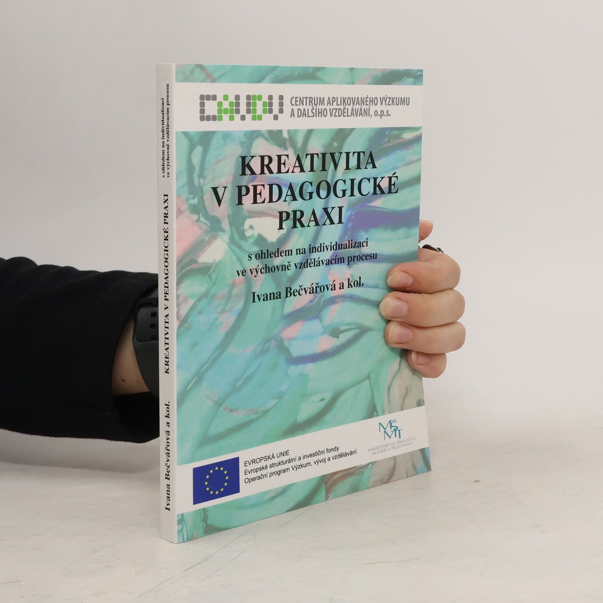 Ivana Bečvářová Kreativita v pedagogické praxi s ohledem na individualizaci ve výchovně vzdělávacím procesu